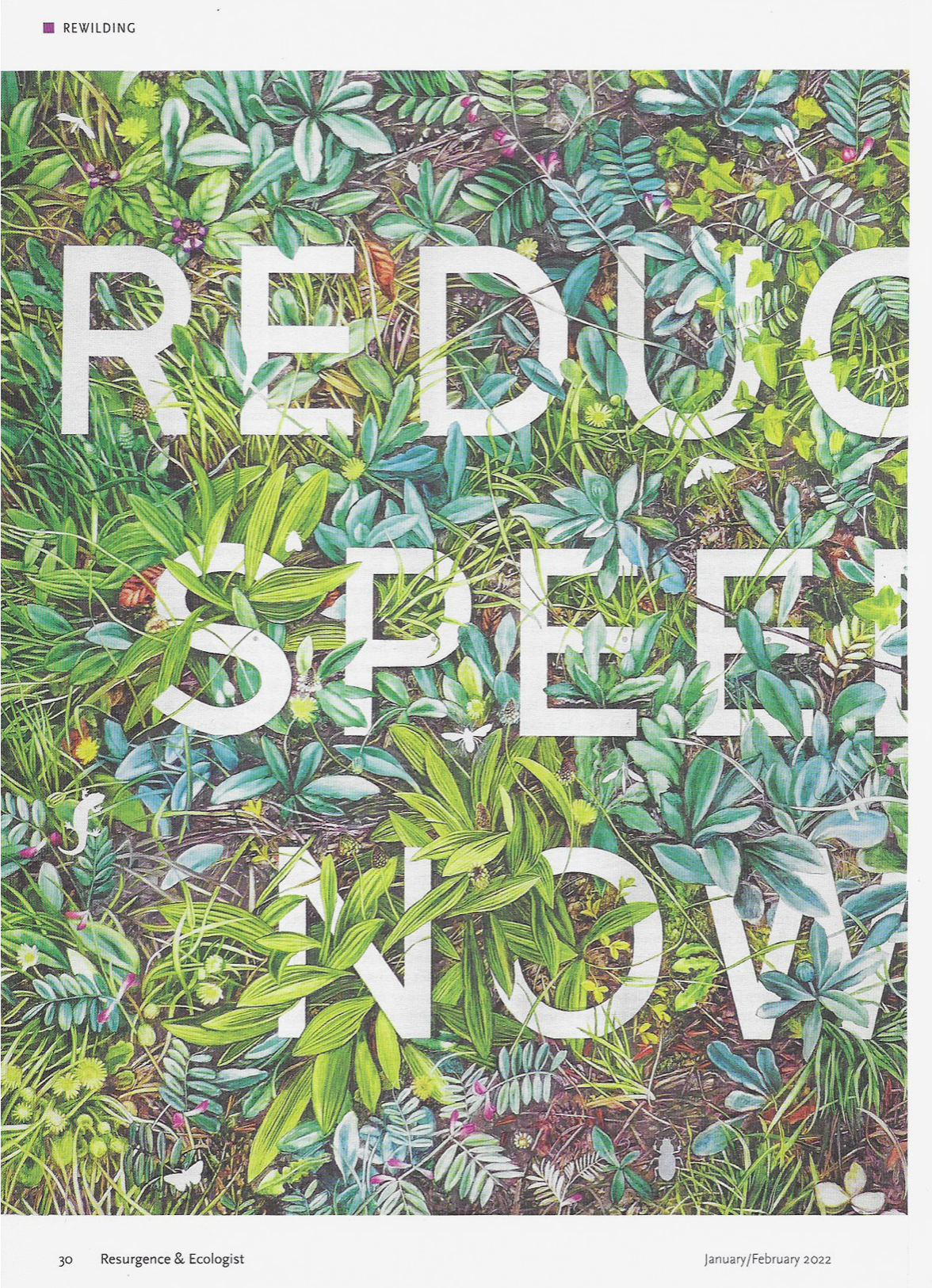 Screenshot 2026-01-26 at 20.26.48.png