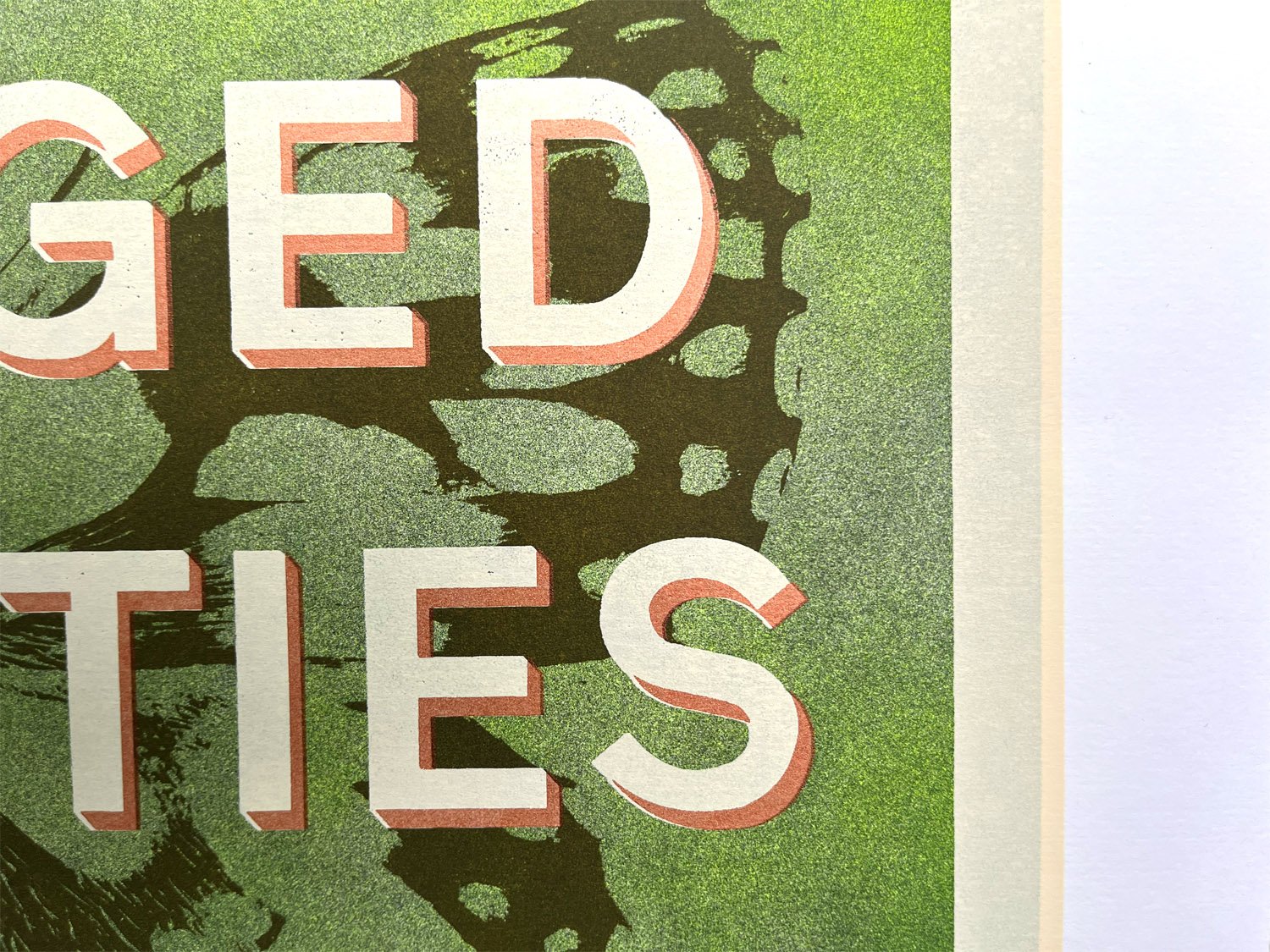 CPA butterfly screenprint detail.jpg