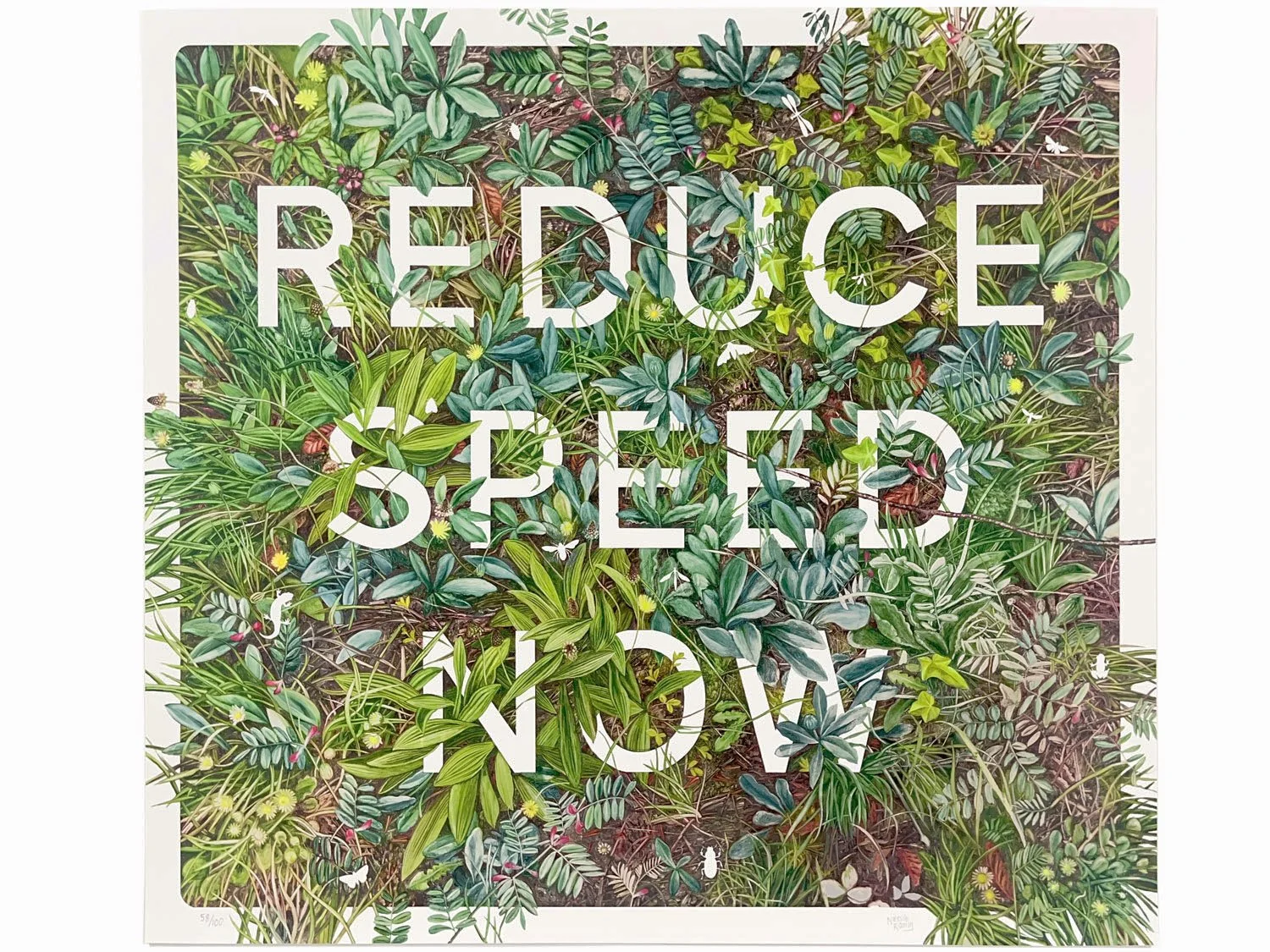 Reduce Speed Now