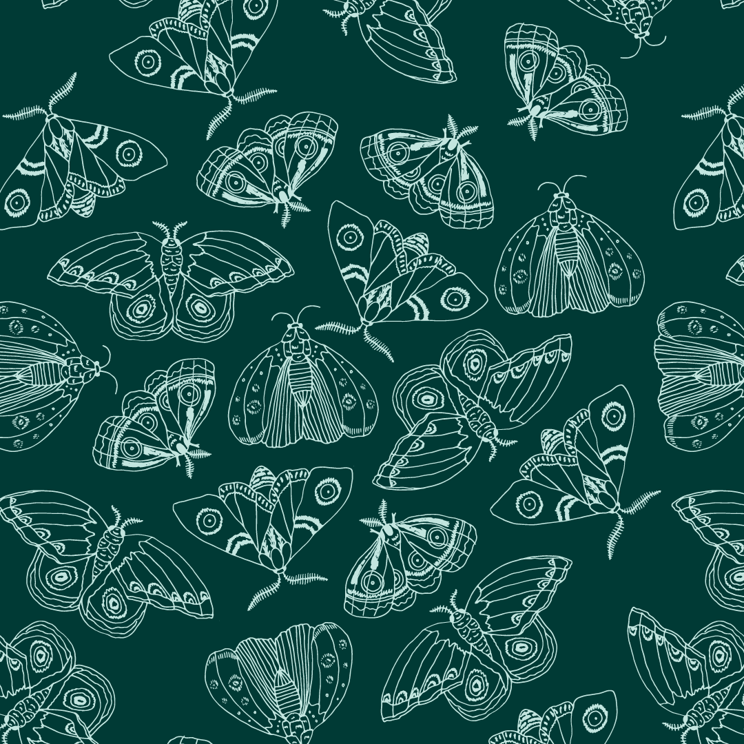 Moth Butterfly  Print.png