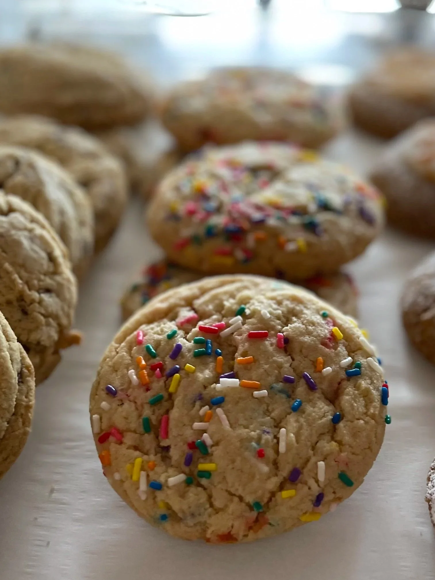 BIRTHDAY CAKE - in the shop daily! 