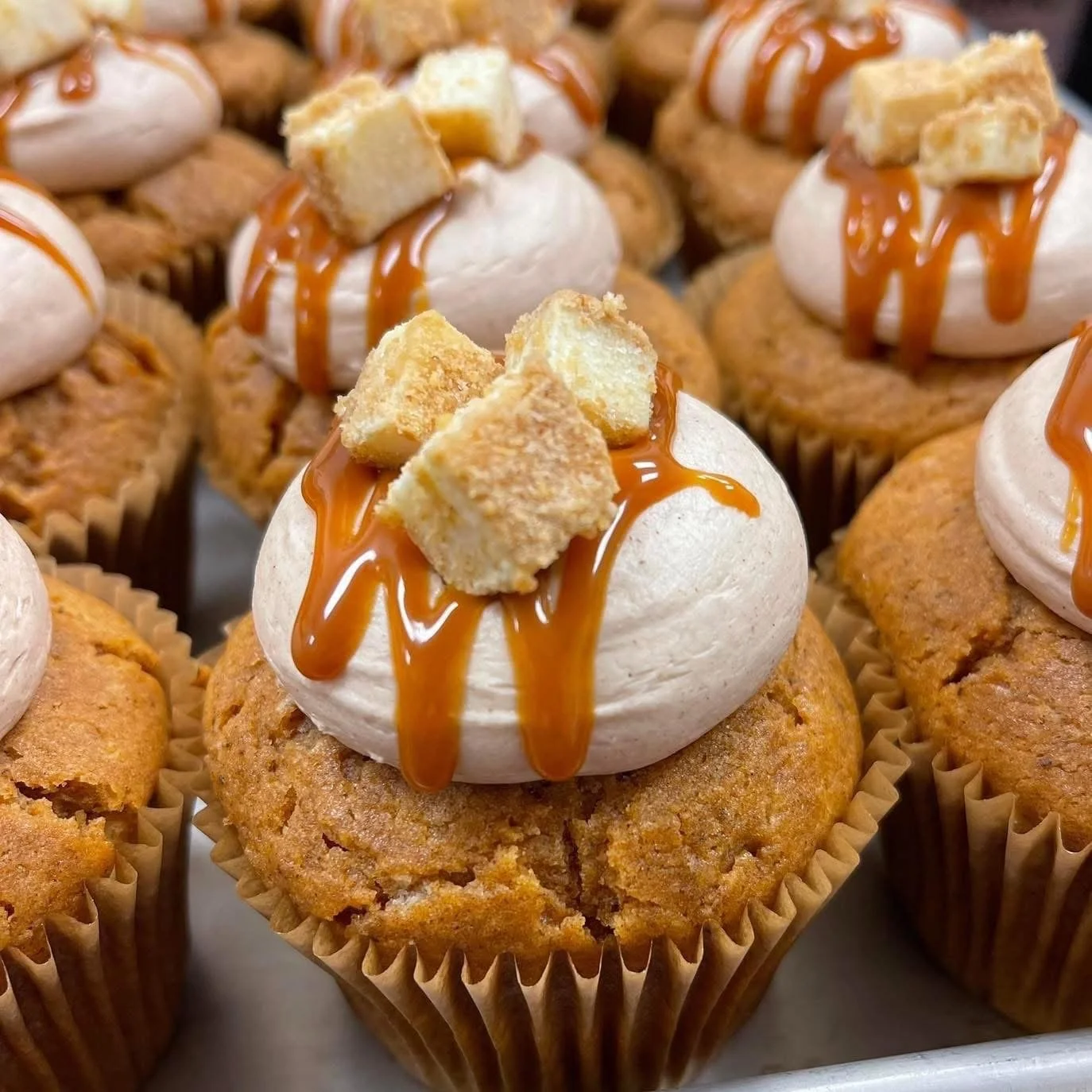 PUMPKIN CHEESECAKE - SEASONAL 