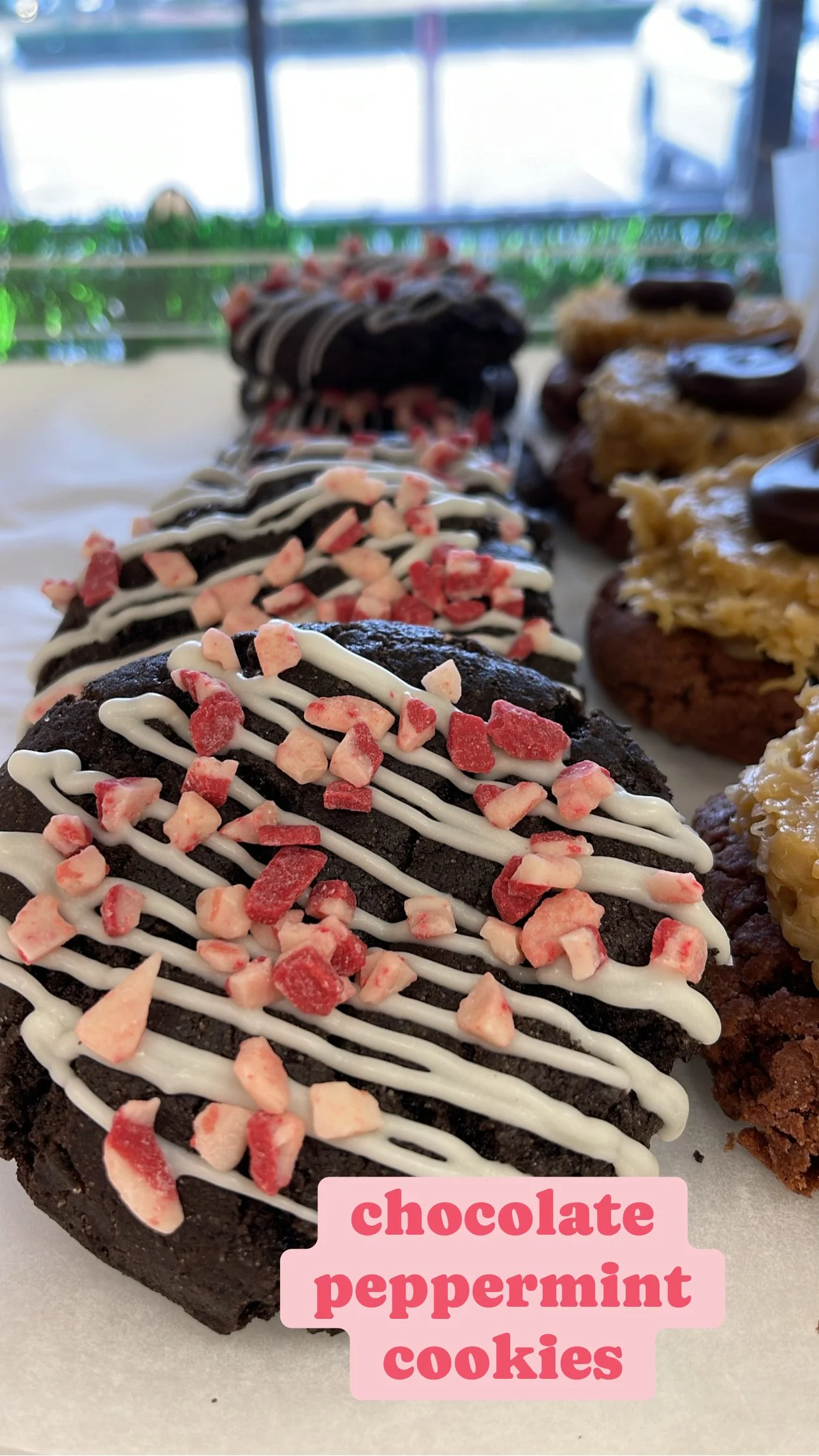 CHOCOLATE PEPERMINT COOKIES