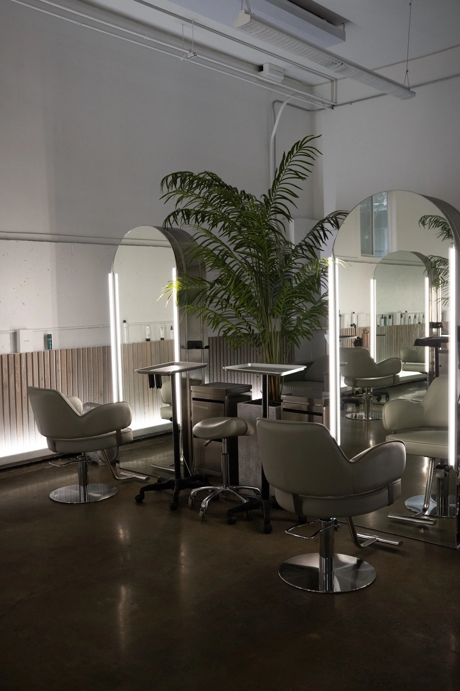 A modern hair salon interior with white leather styling chairs, mirrors with backlights, and a large potted palm plant in the center.