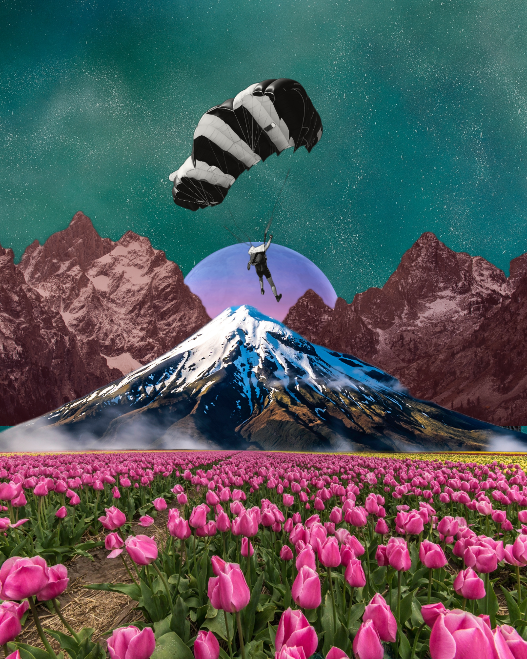 Person parachuting above a snow-capped mountain with pink tulip field in foreground and a starry sky.
