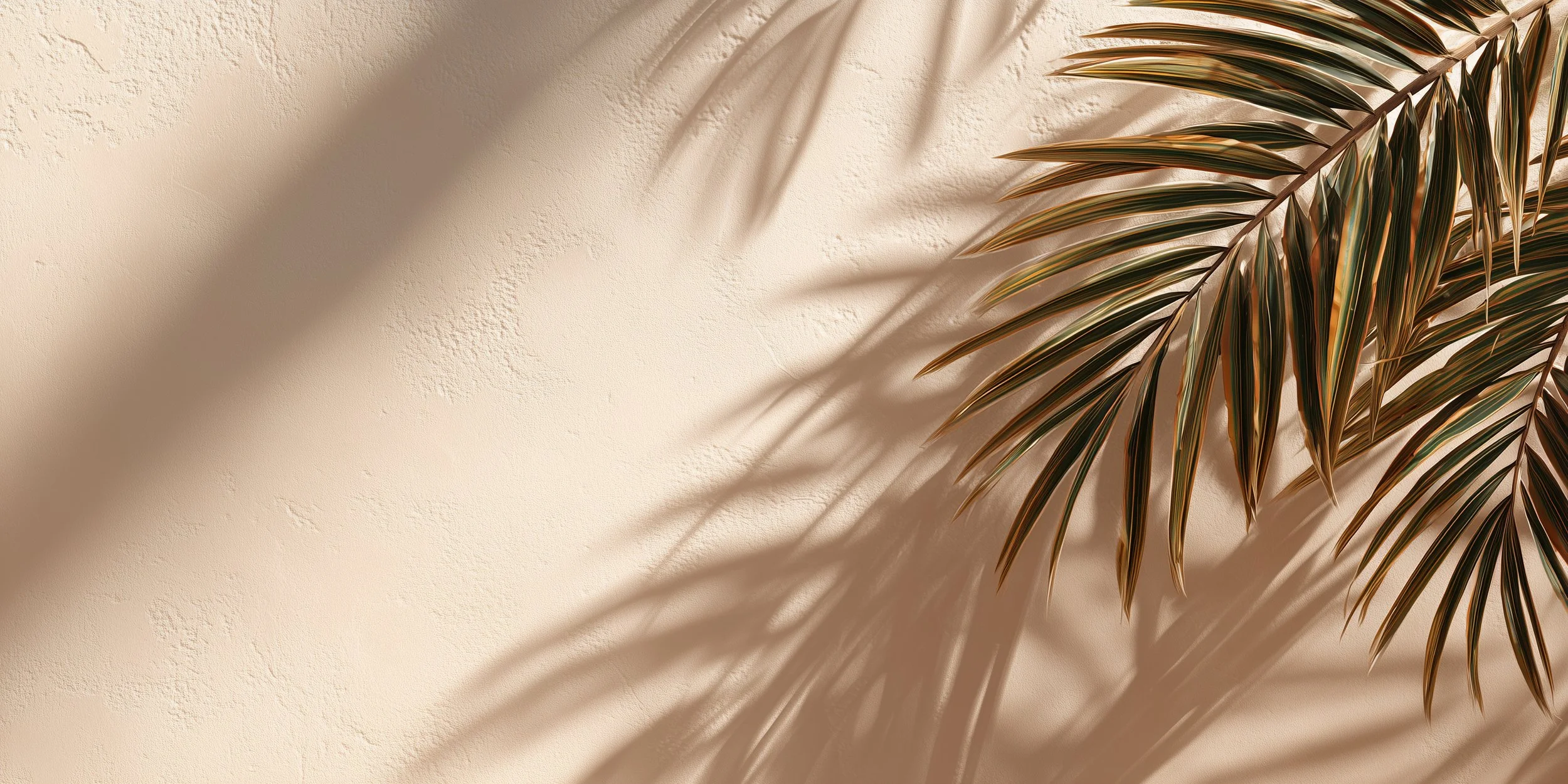 A palm leaf casts a shadow on a textured beige wall.