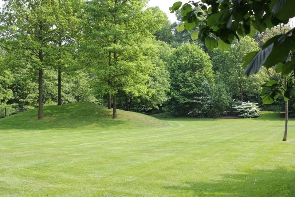 Green park with grassy field, trees, and bushes under clear weather
