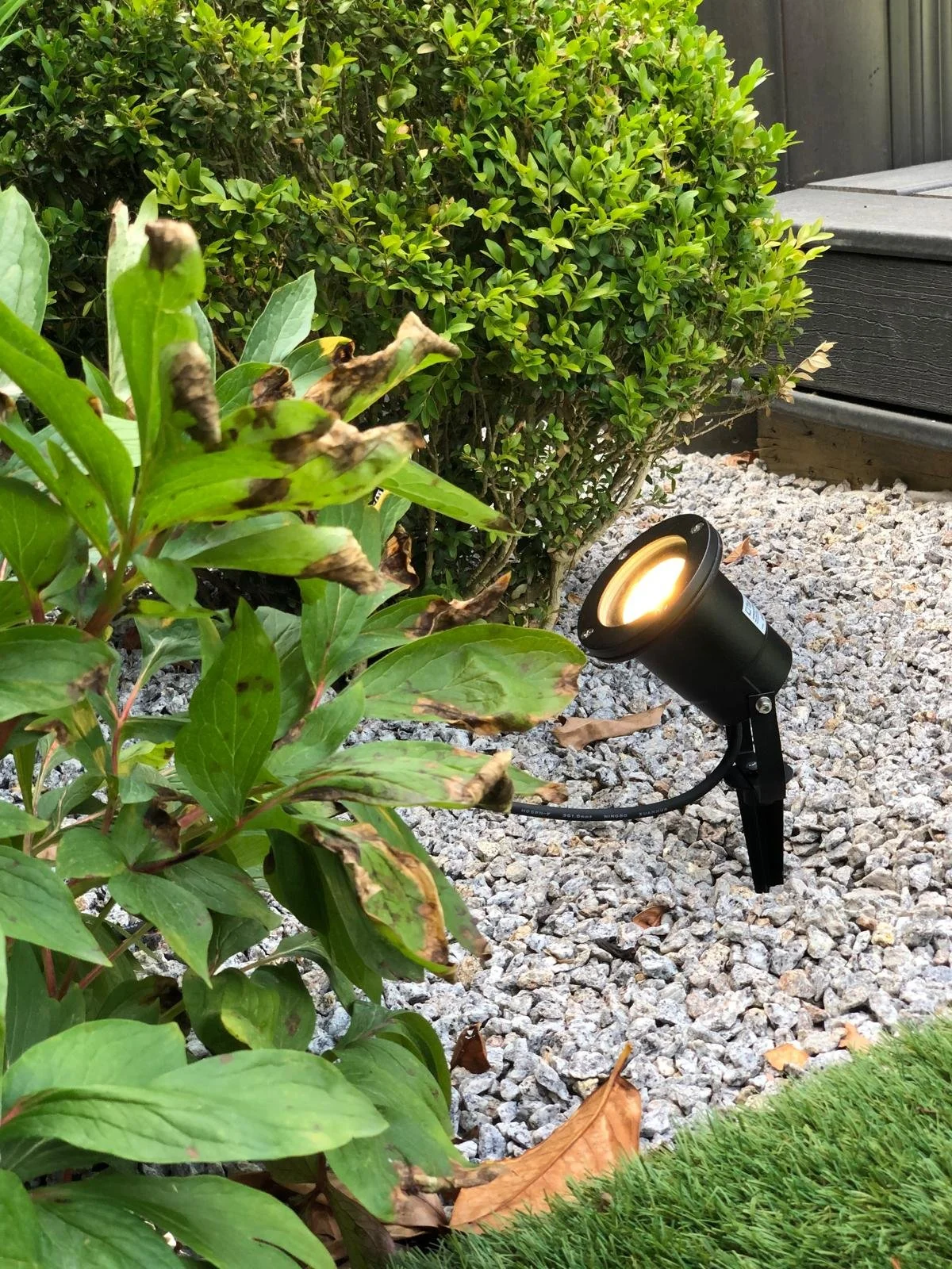 Landscape with shrubbery, gravel, and outdoor spotlight illuminating the plants.