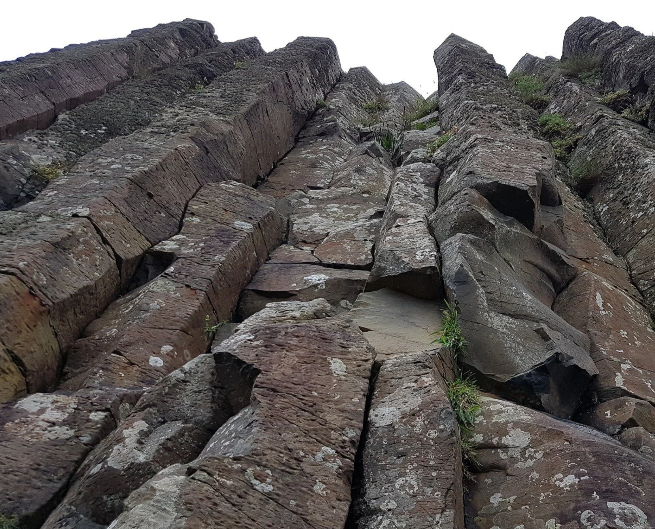 Screenshot 2026-01-18 141522.png