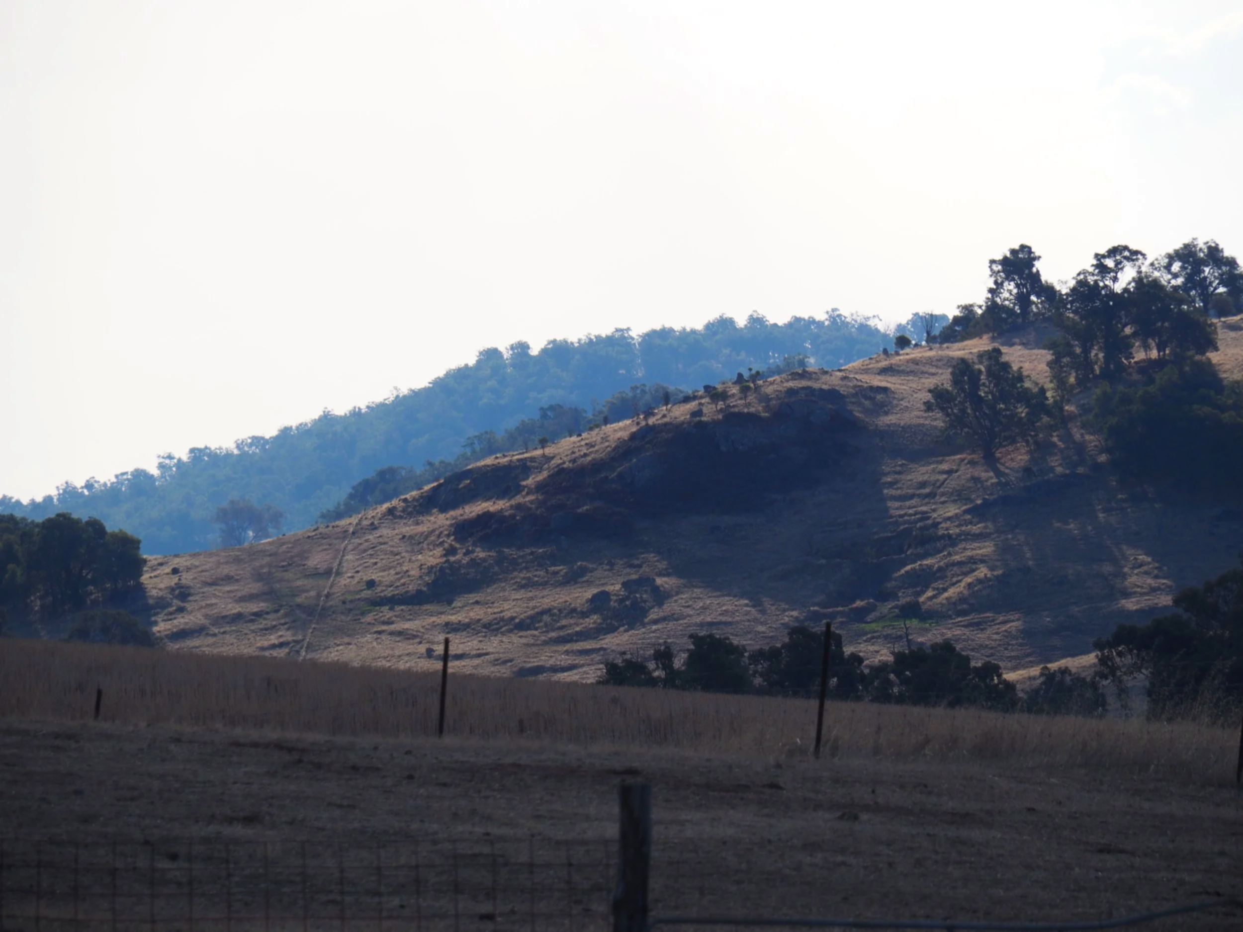 Hilly landscape with sparse trees and dry grass, shadowed areas on the hillside, and a wire fence in the foreground.