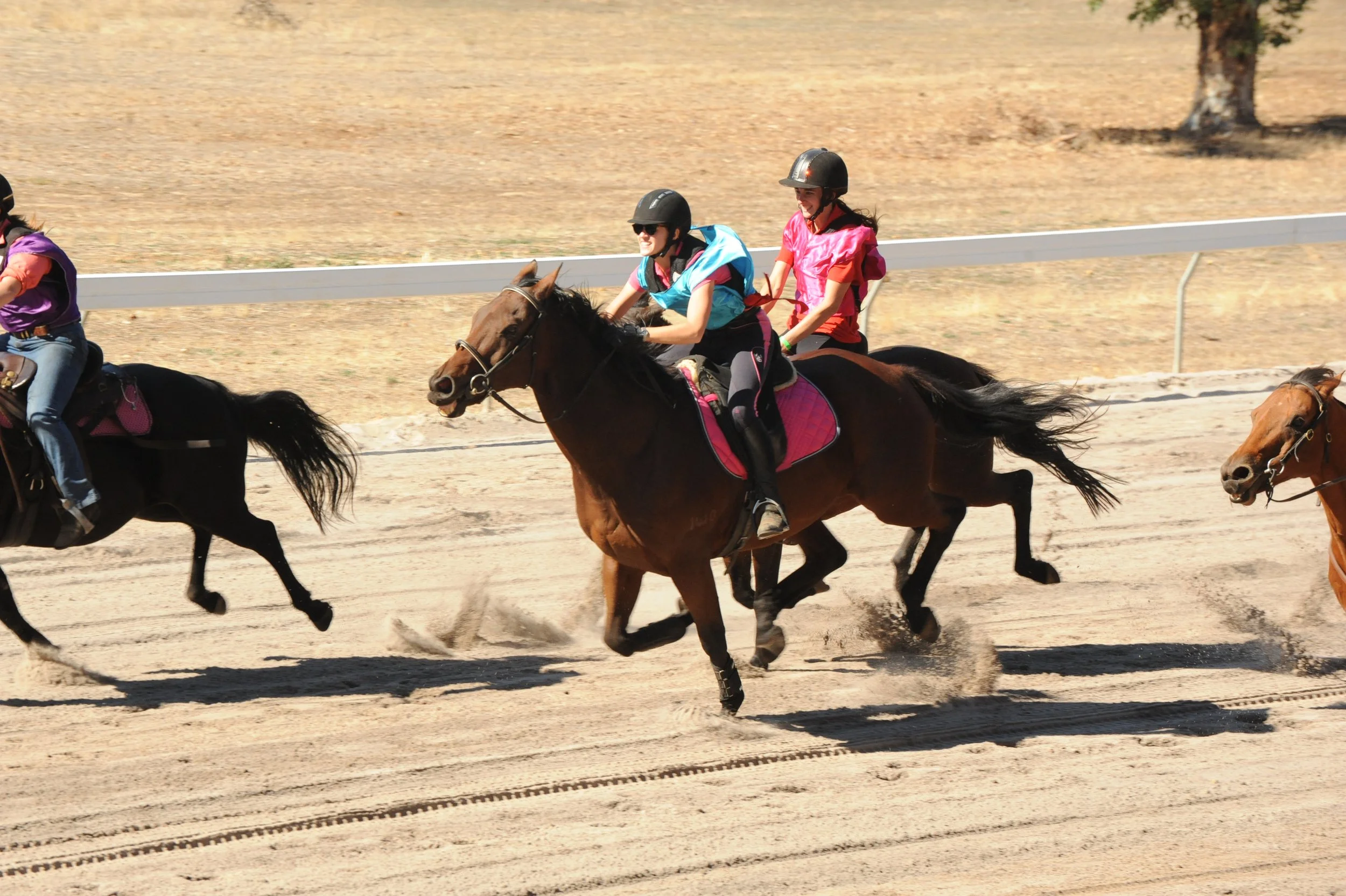 Horse race with three jockeys riding galloping horses on a dirt track, wearing helmets and colorful outfits.
