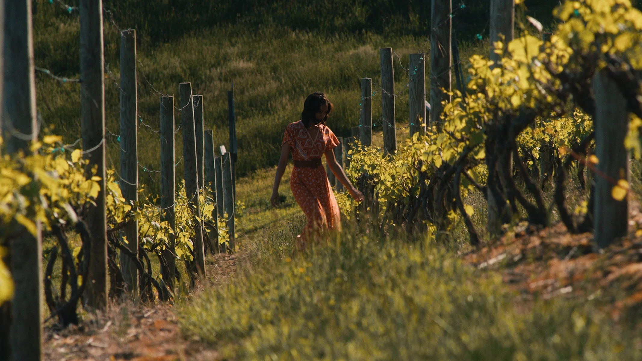 Romance V4.00_00_27_22.Still008.jpg