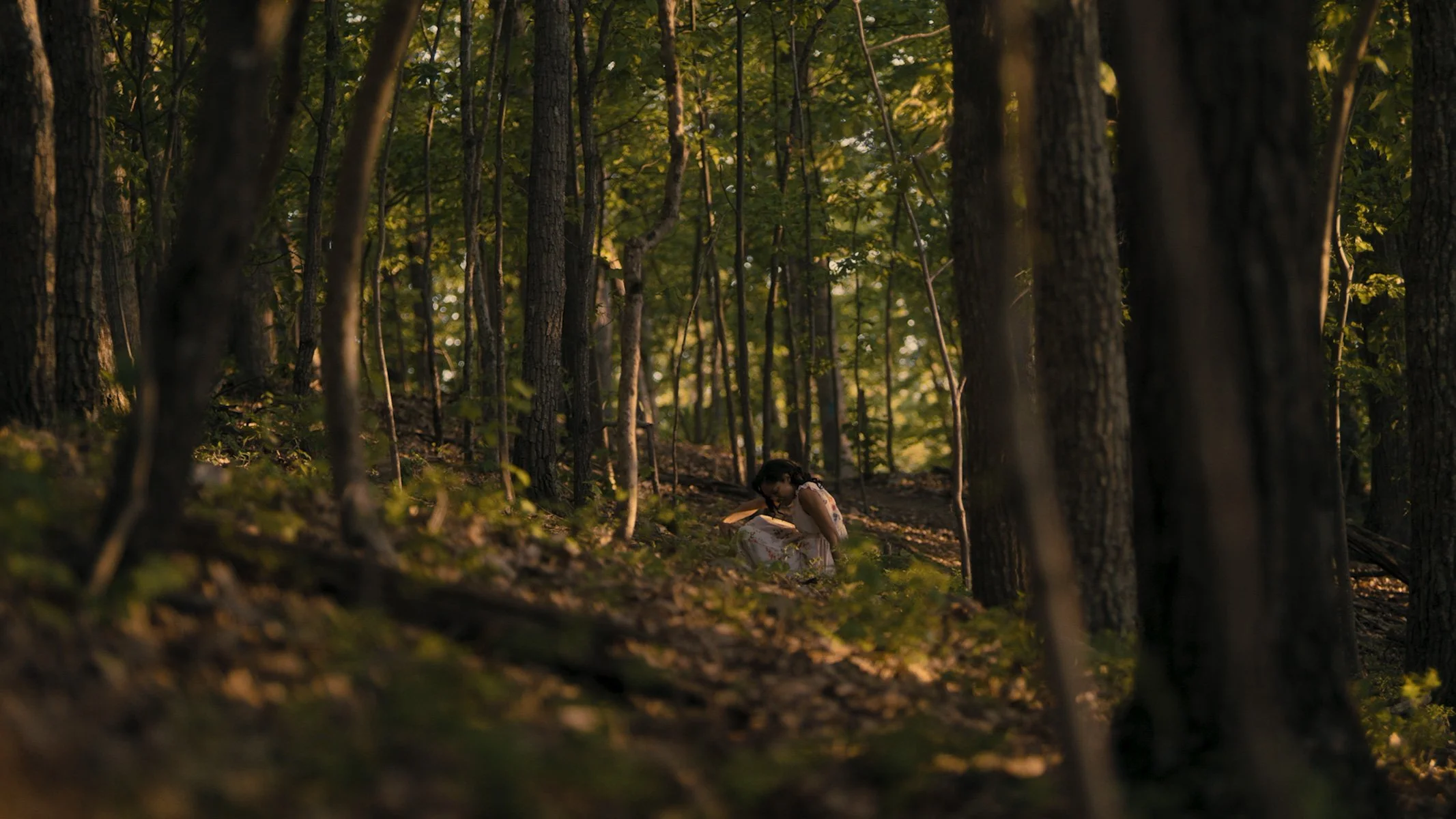 REEL V8 R3D.00_00_20_23.Still008.jpg