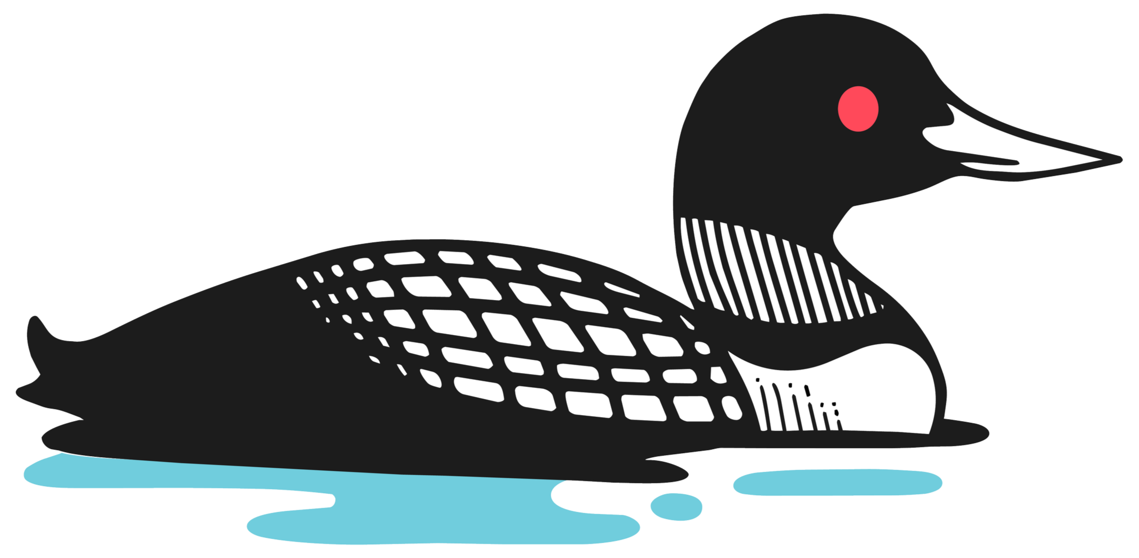 Illustration of a black and white loon swimming on water, with a distinctive checkered pattern on its back and a striped pattern on its neck, red eye, and long white beak.