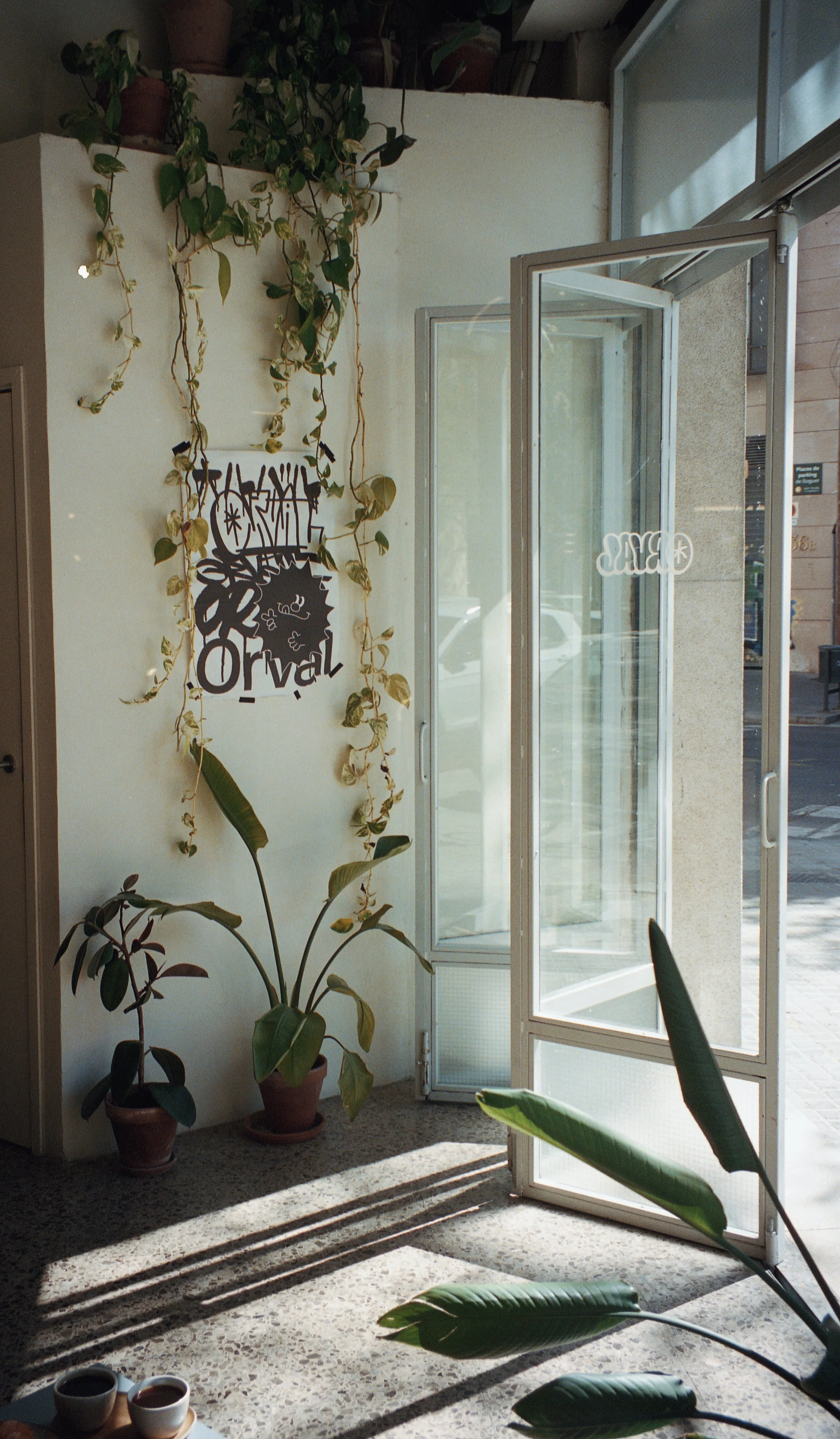 55A832A3-01BE-4AB8-BC6B-163B504E24F6 2.JPG