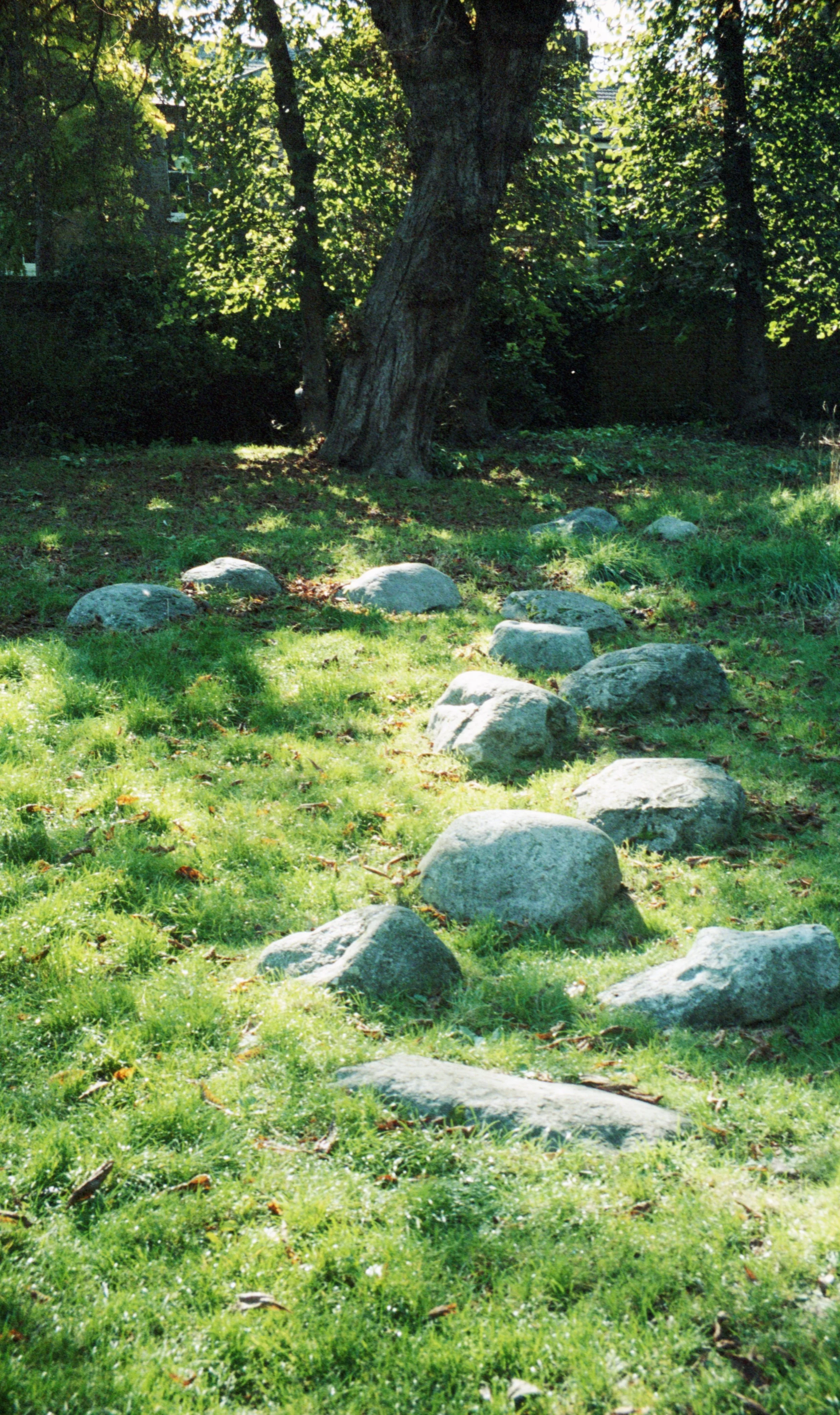 36095B61-71F9-400F-AF47-612ACB2028C9 3.JPG