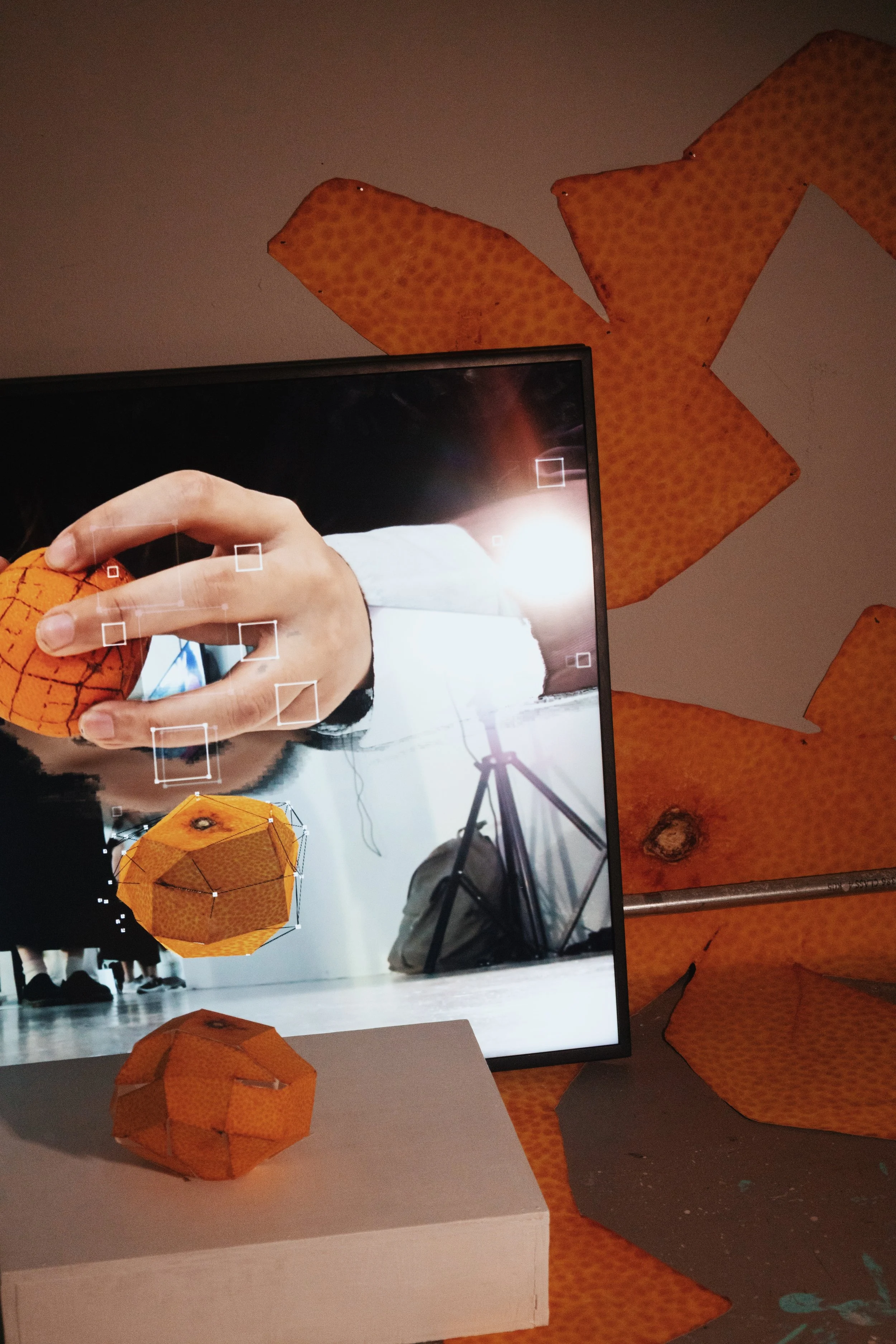 Exhibition Documentation