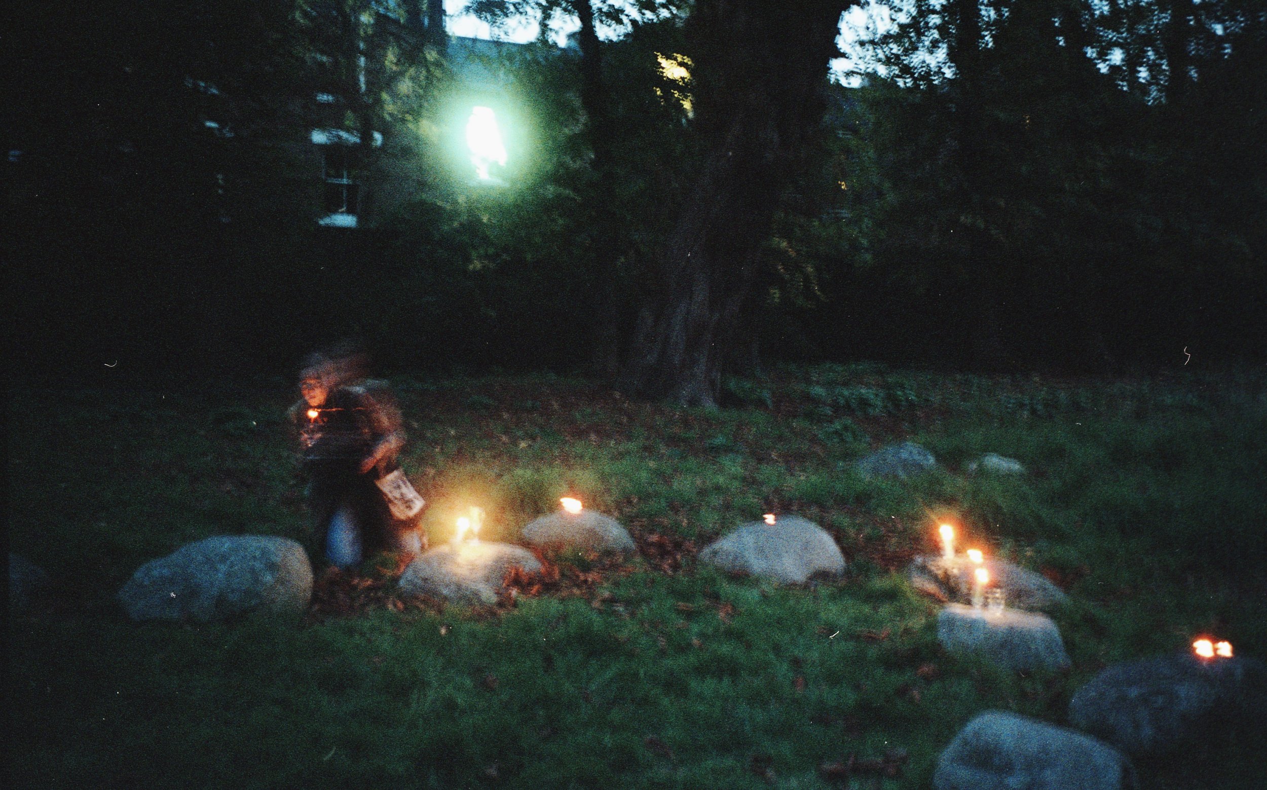 Listen to the Leaves