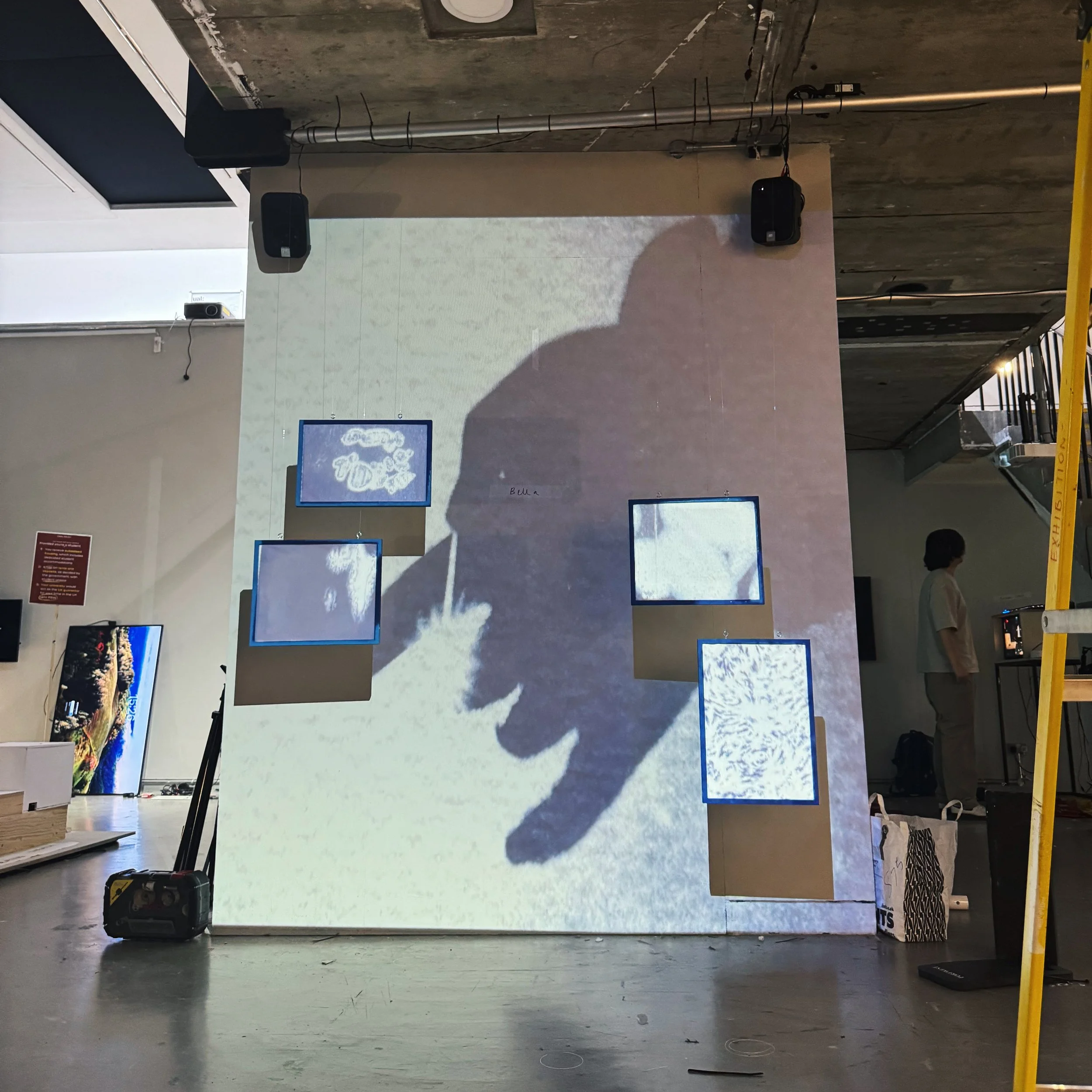 Installation Construction & Projection Mapping