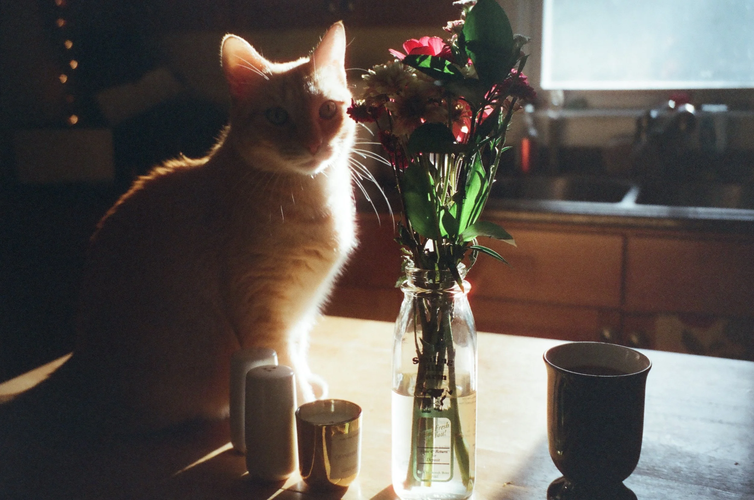 4A36D785-7B7D-4798-BBBF-7A065AEADBFB.JPG
