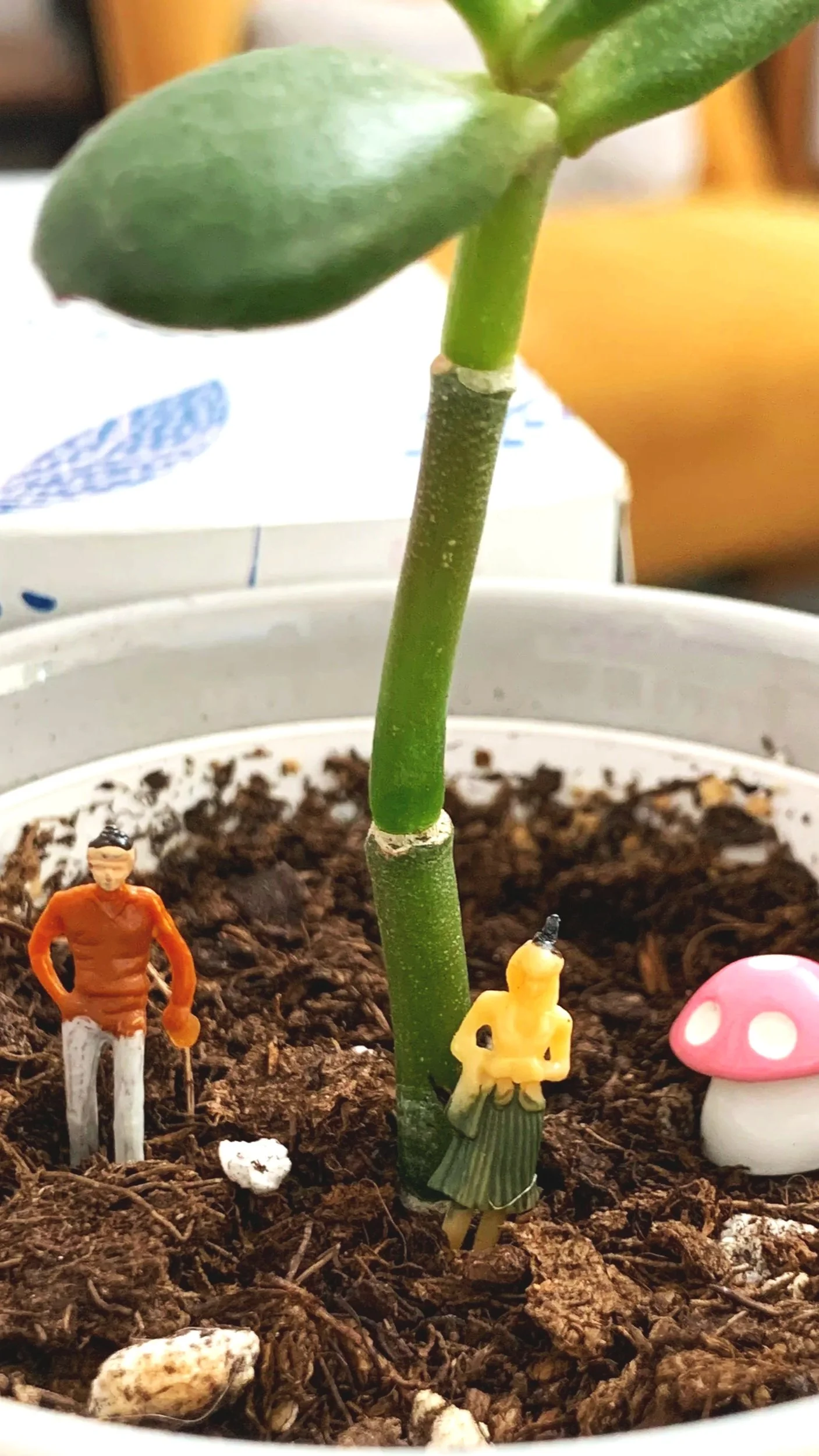 Close-up of a small potted plant with a thick green stem and a single leaf, decorated with miniature plastic figures and a mushroom miniature inside the soil.