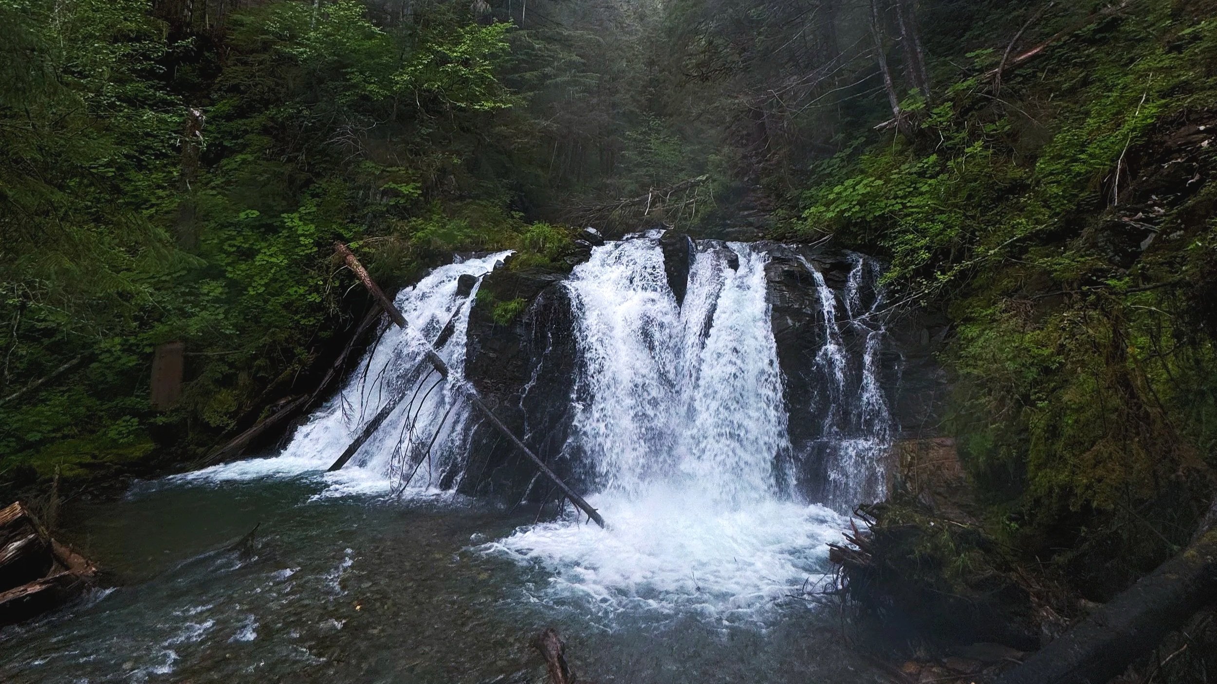 A cascading waterfall in a lush green forest with fallen tree trunks and moss-covered rocks.