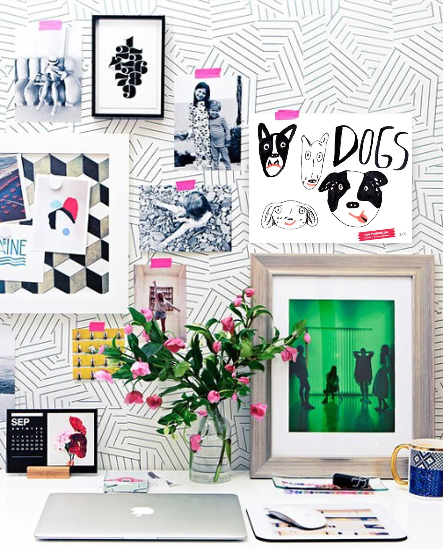 AS_DGP_2_room.jpg
