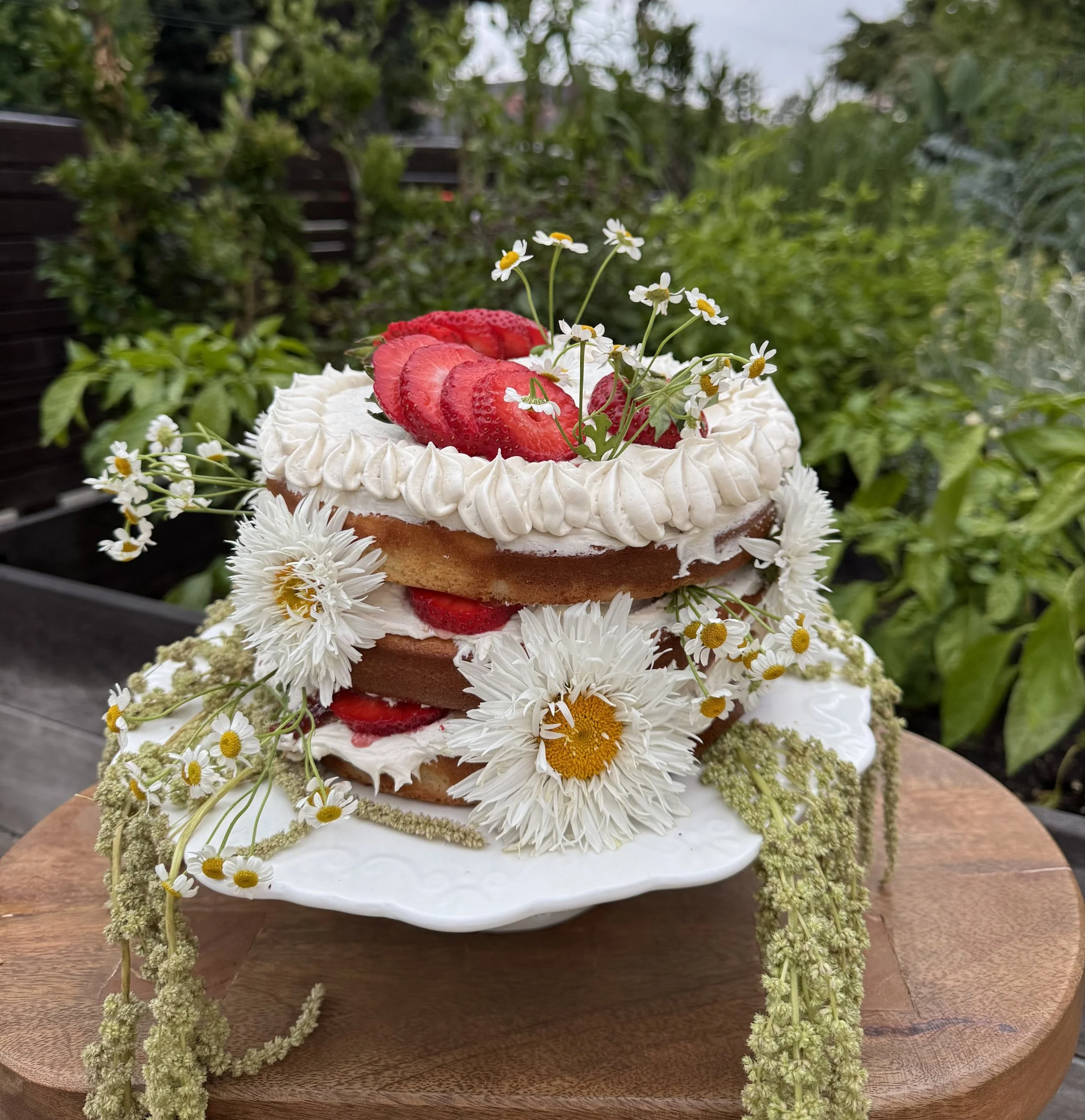 Strawberry Solstice