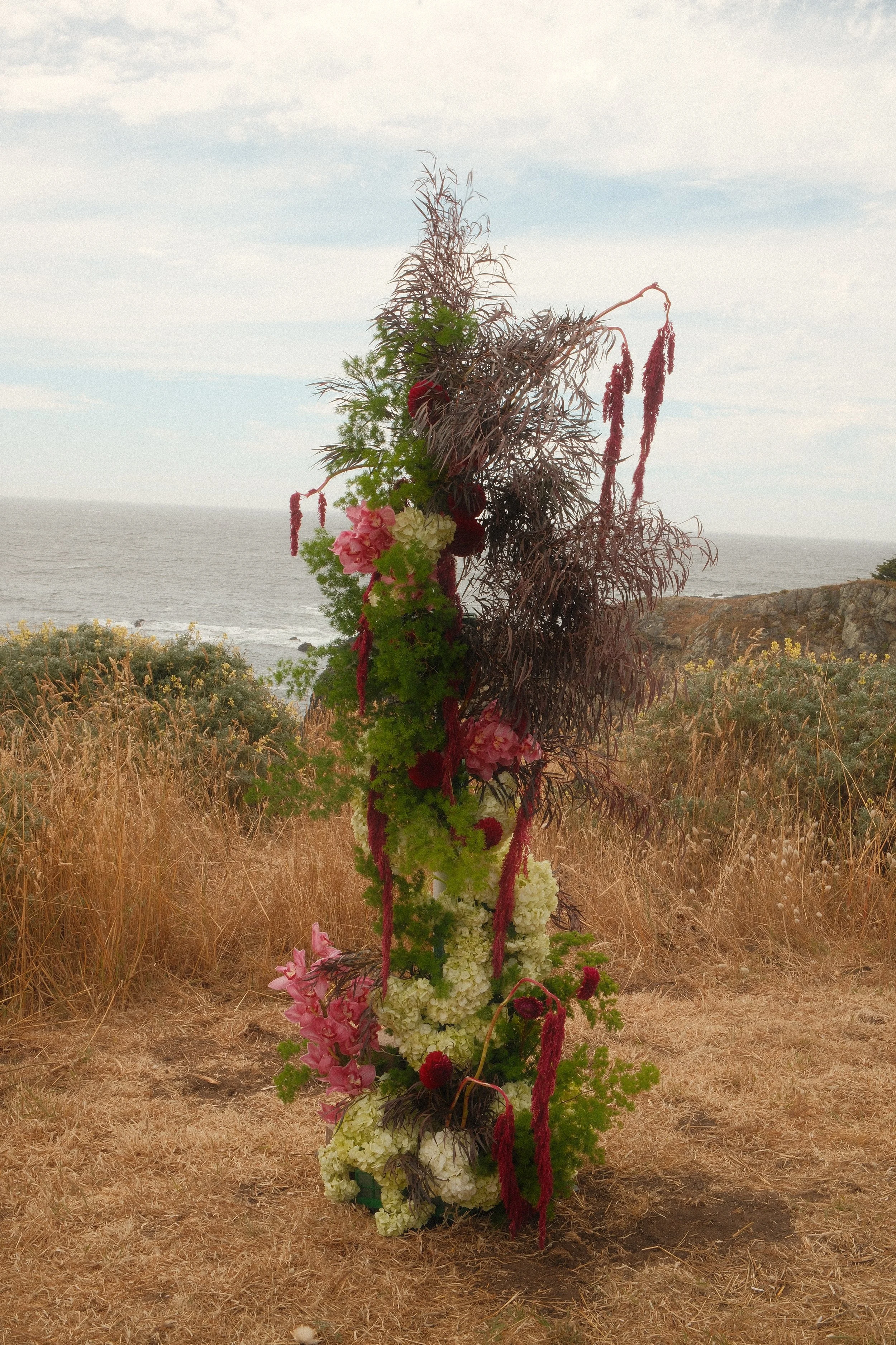 Sea Witch copy.jpg
