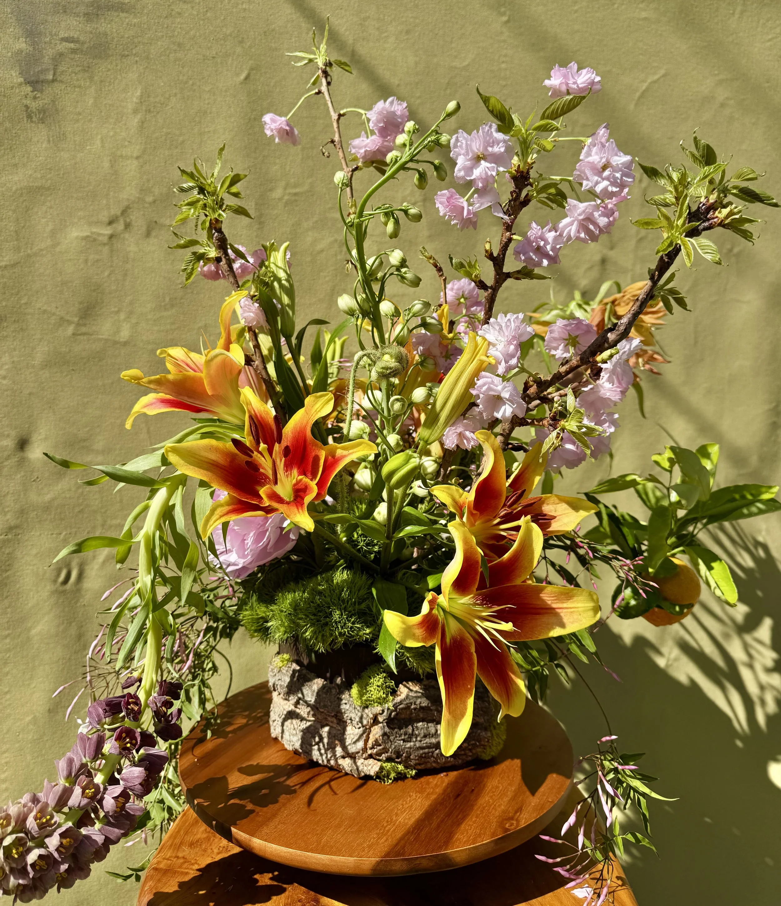 Spring Equinox