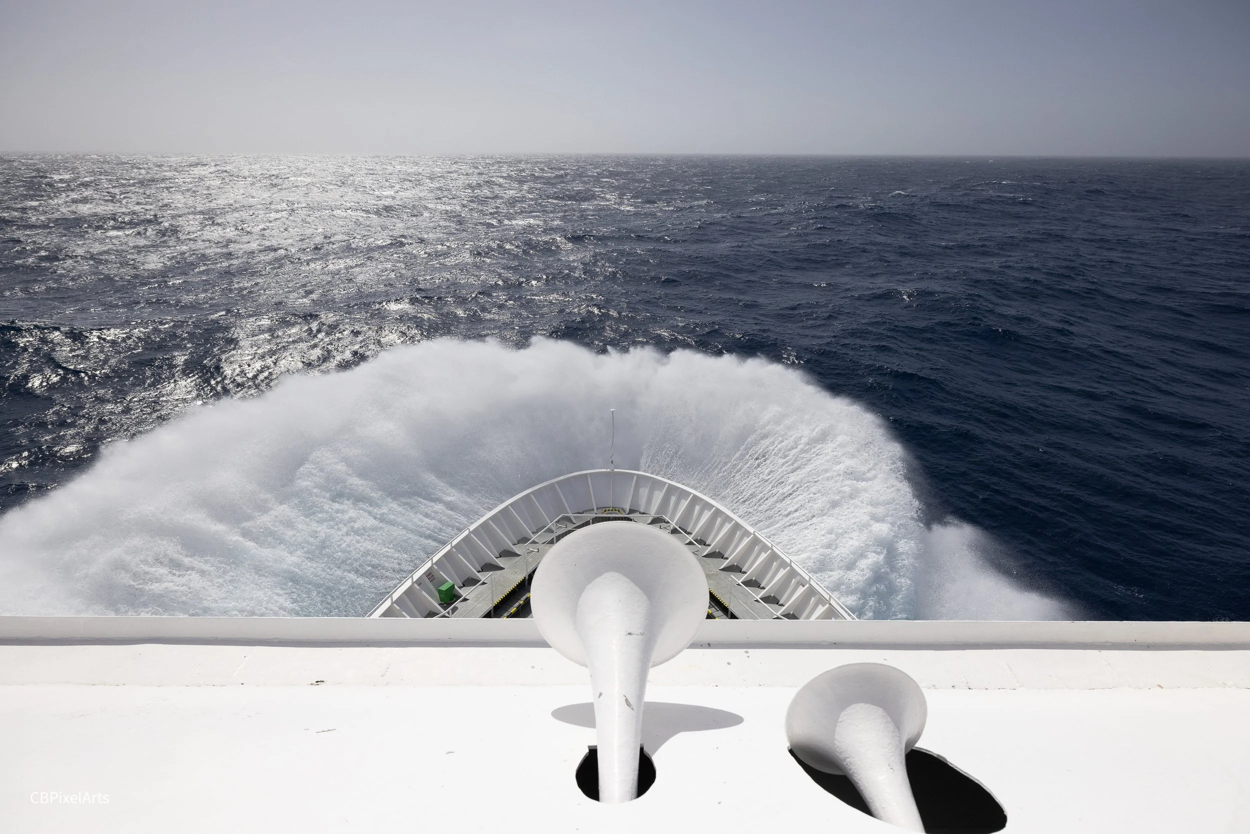 A journey through scale, motion and the living world.