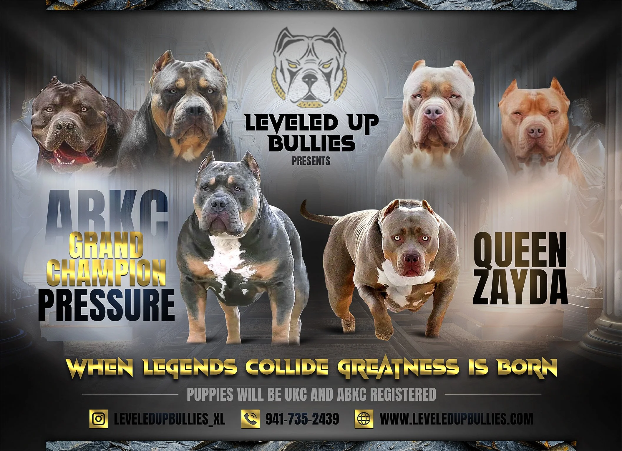 Confirmed breeding — puppies expected late May 2026
