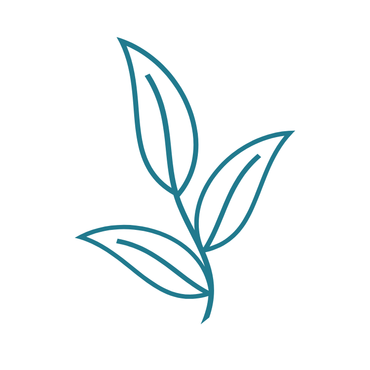 Leaf icon representing growth and personal development.