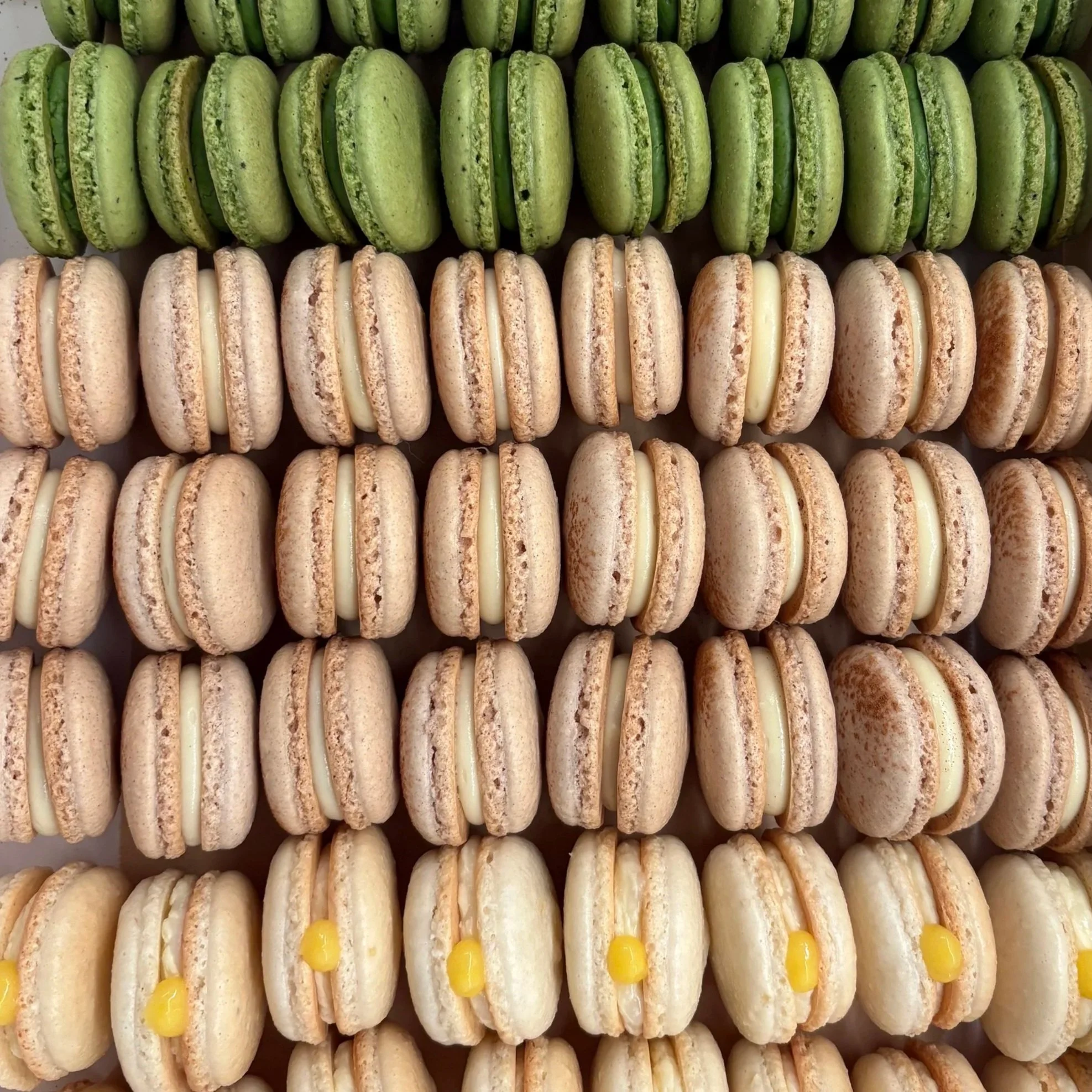 Large Mixed Macaron Box