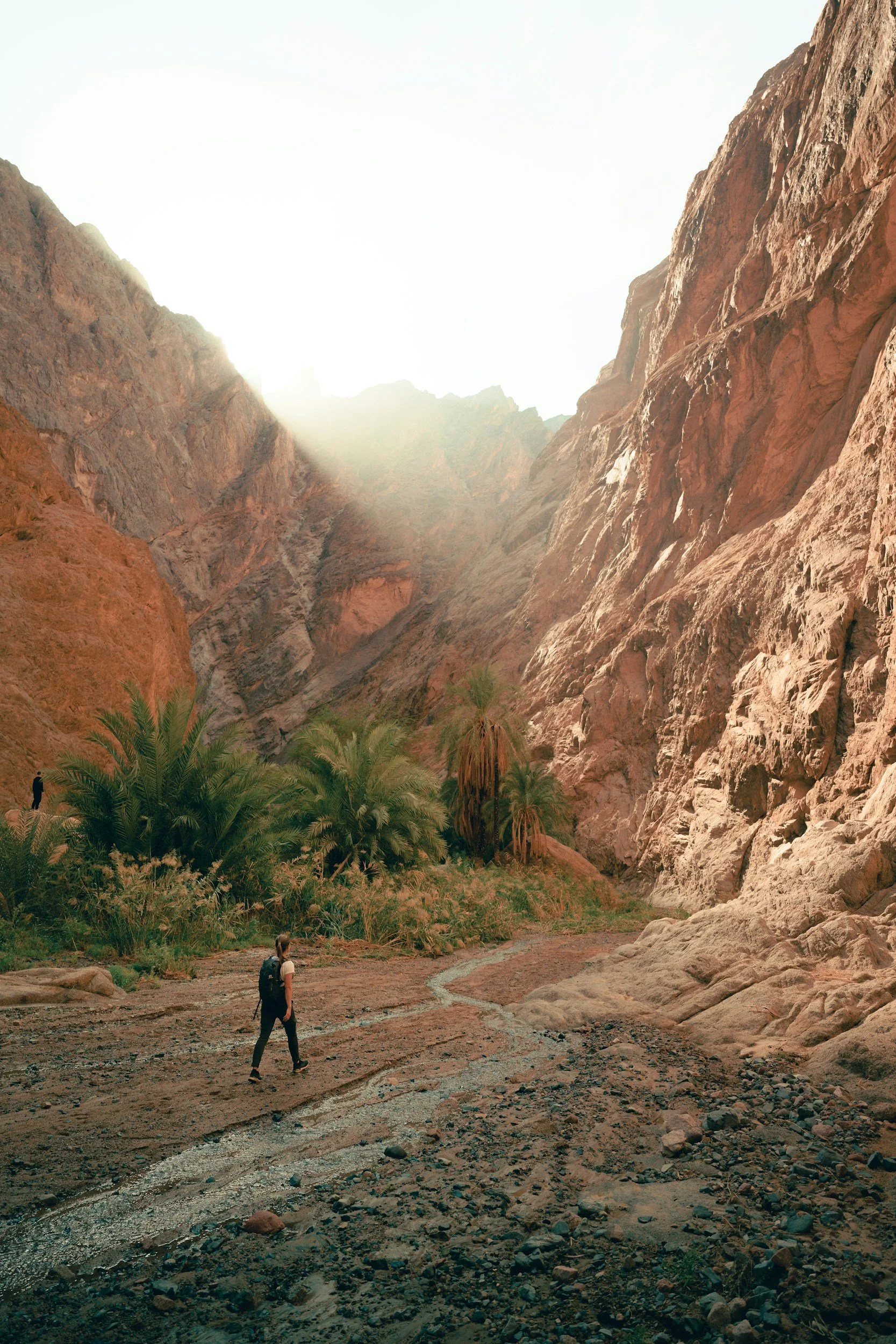 A person with a backpack walking through a rocky valley surrounded by red canyon walls with sparse greenery and palm trees, under a bright sky with the sun shining.