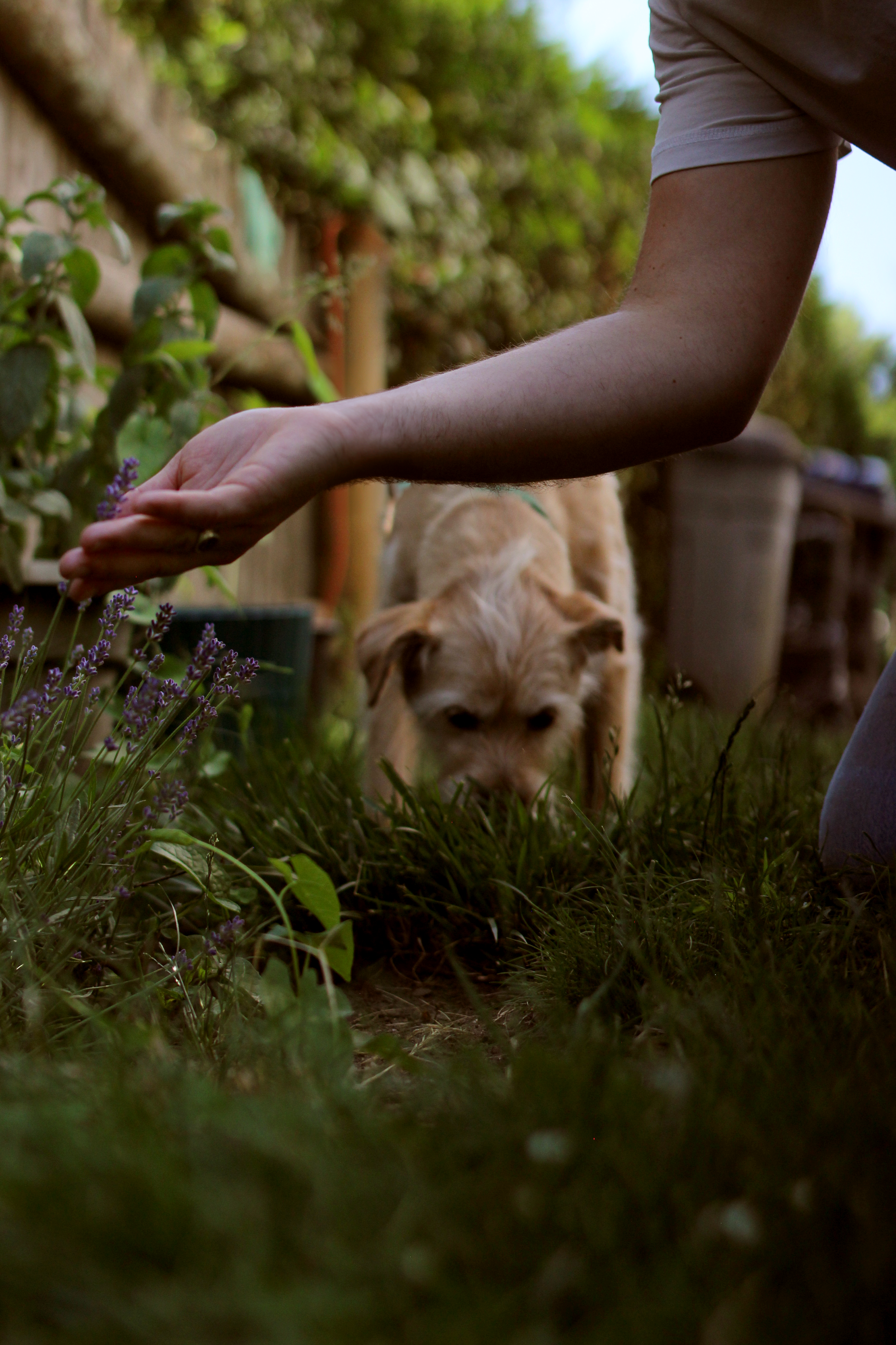 candid maternity photography