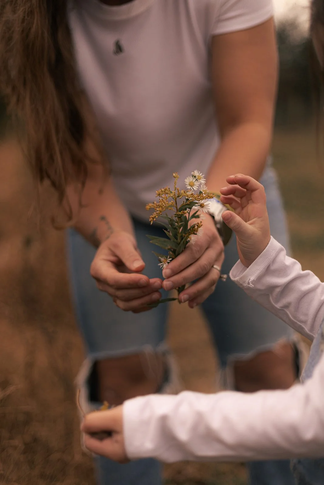 Family with four children exploring their backyard during an at-home session in Doylestown, candid and playful photography