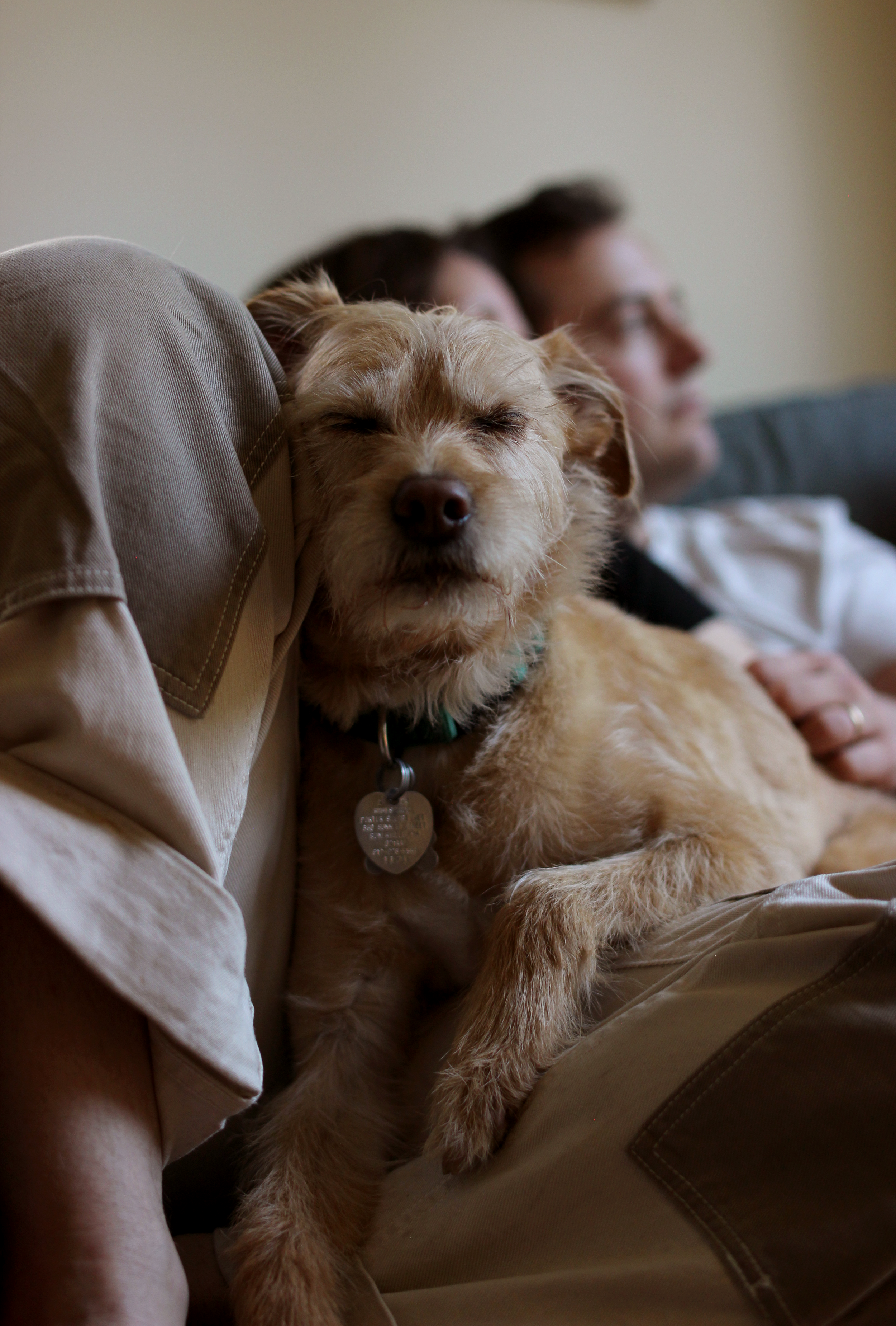 in-home maternity session