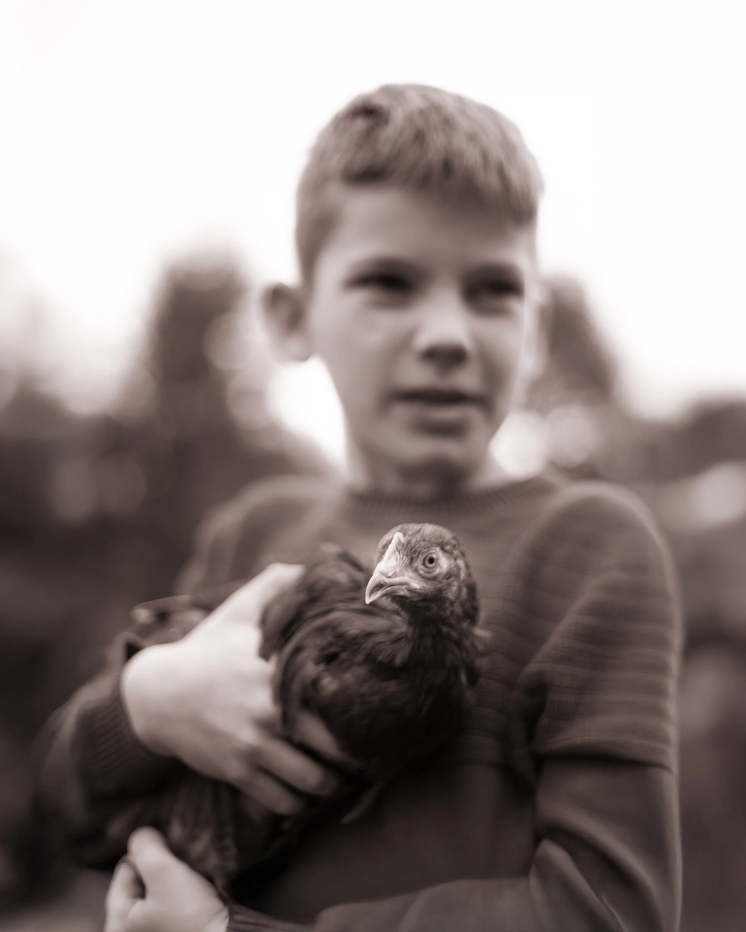 family photography doylestown pa