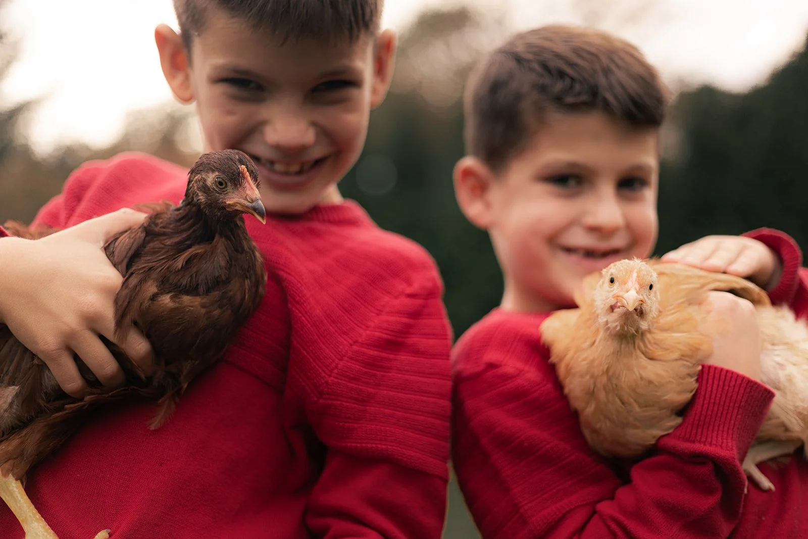 Backyard family session in Doylestown PA including children, dogs, and chickens, natural and unposed lifestyle photography
