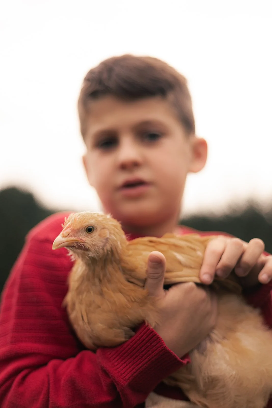 Two young boys laughing and playing during a Bucks County family photography session, capturing personality and movement