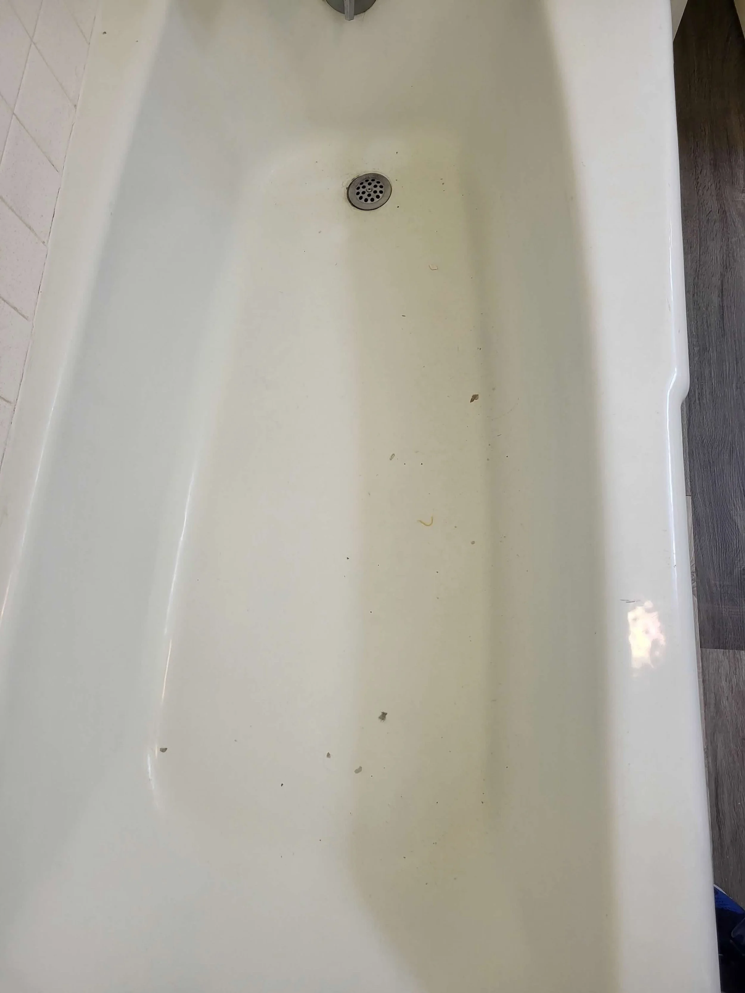 Empty white bathtub with some dirt and debris at the bottom, and a silver drain in the center.