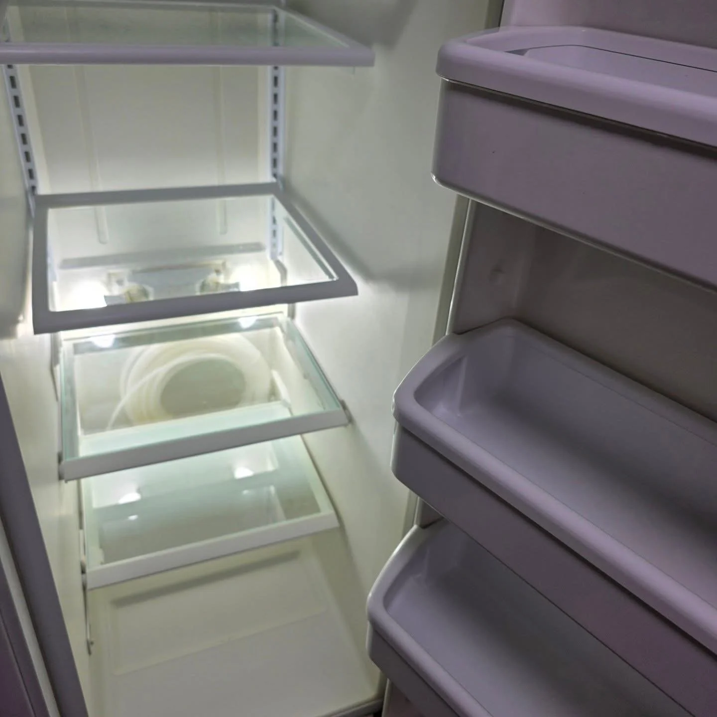 Empty refrigerator with glass shelves and door compartments, seen from the inside.
