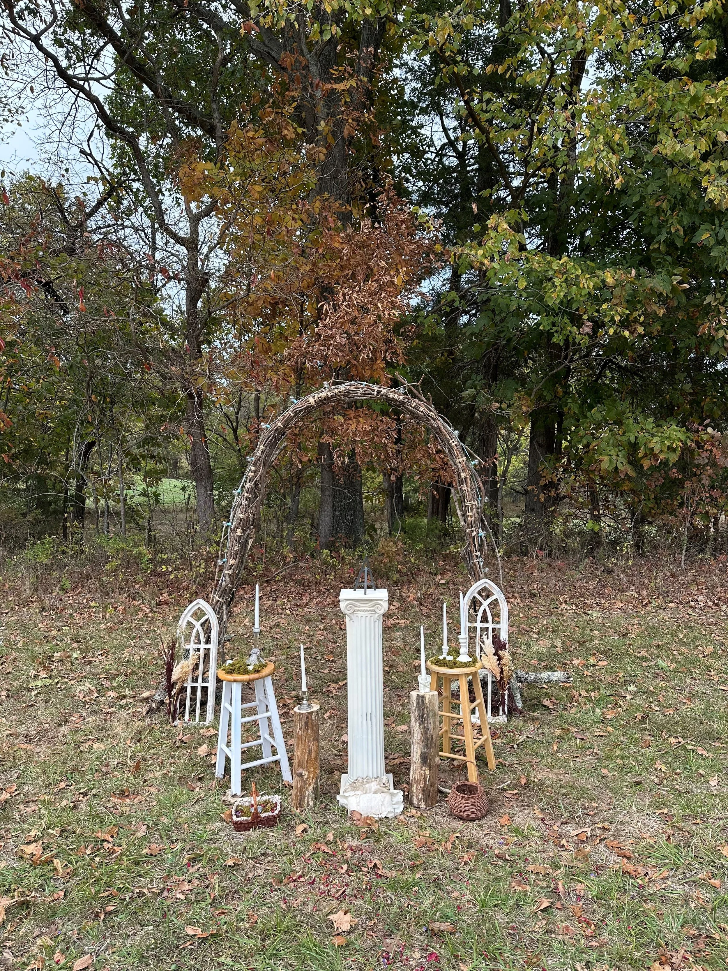 Photo Credit - Carol Fabert 2025