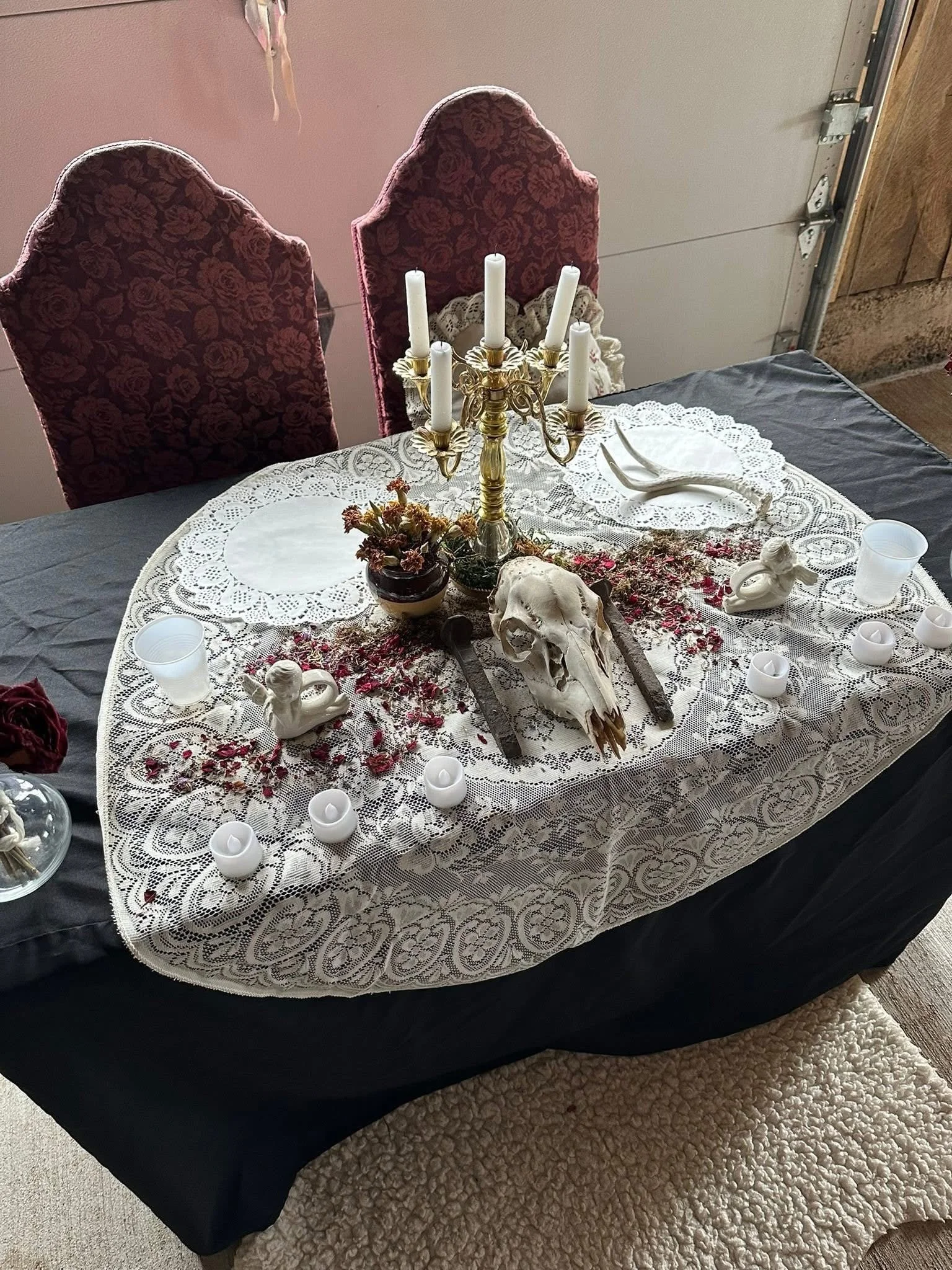 Photo Credit - Carol Fabert 2025