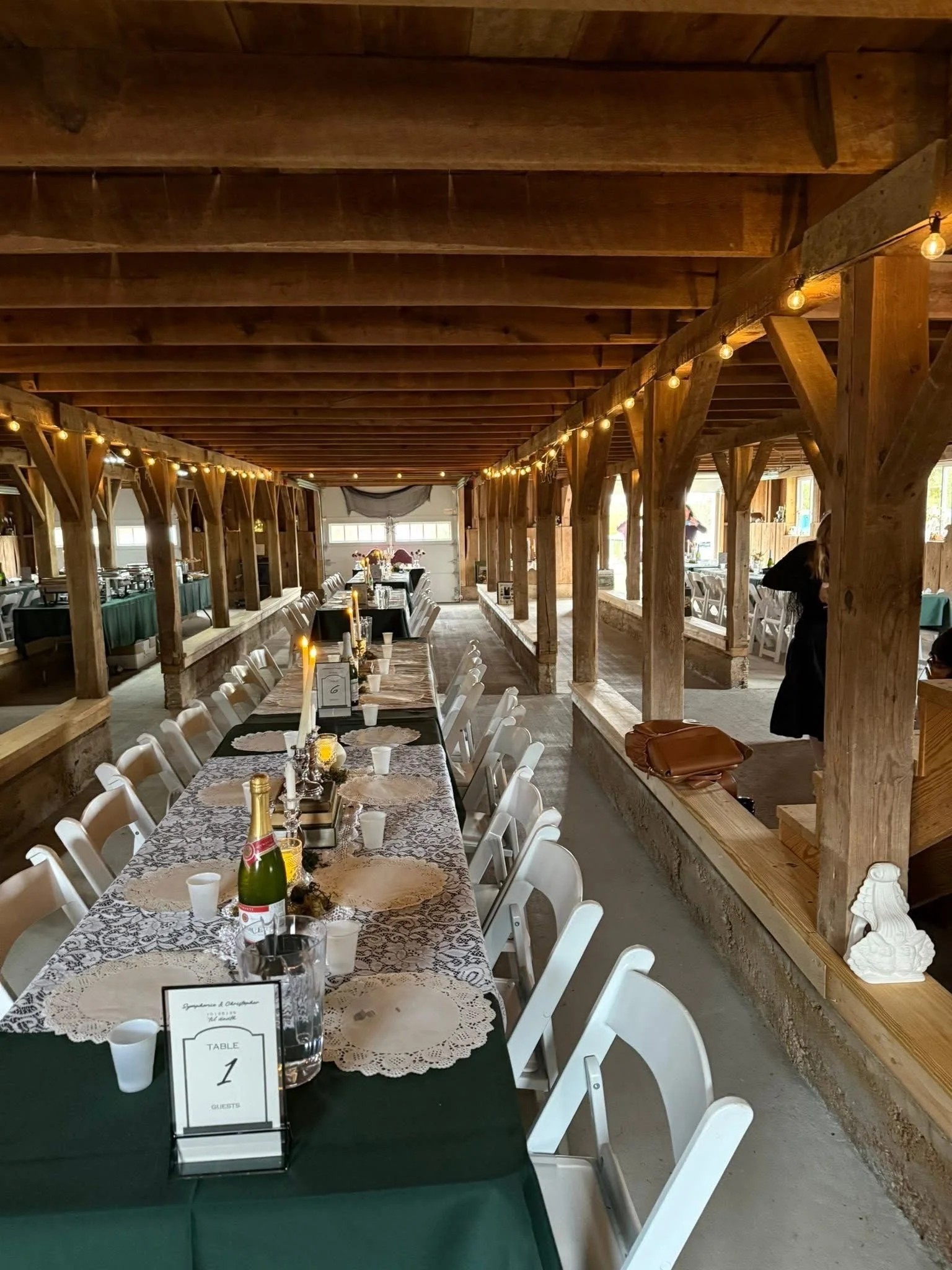 Photo Credit - Carol Fabert 2025