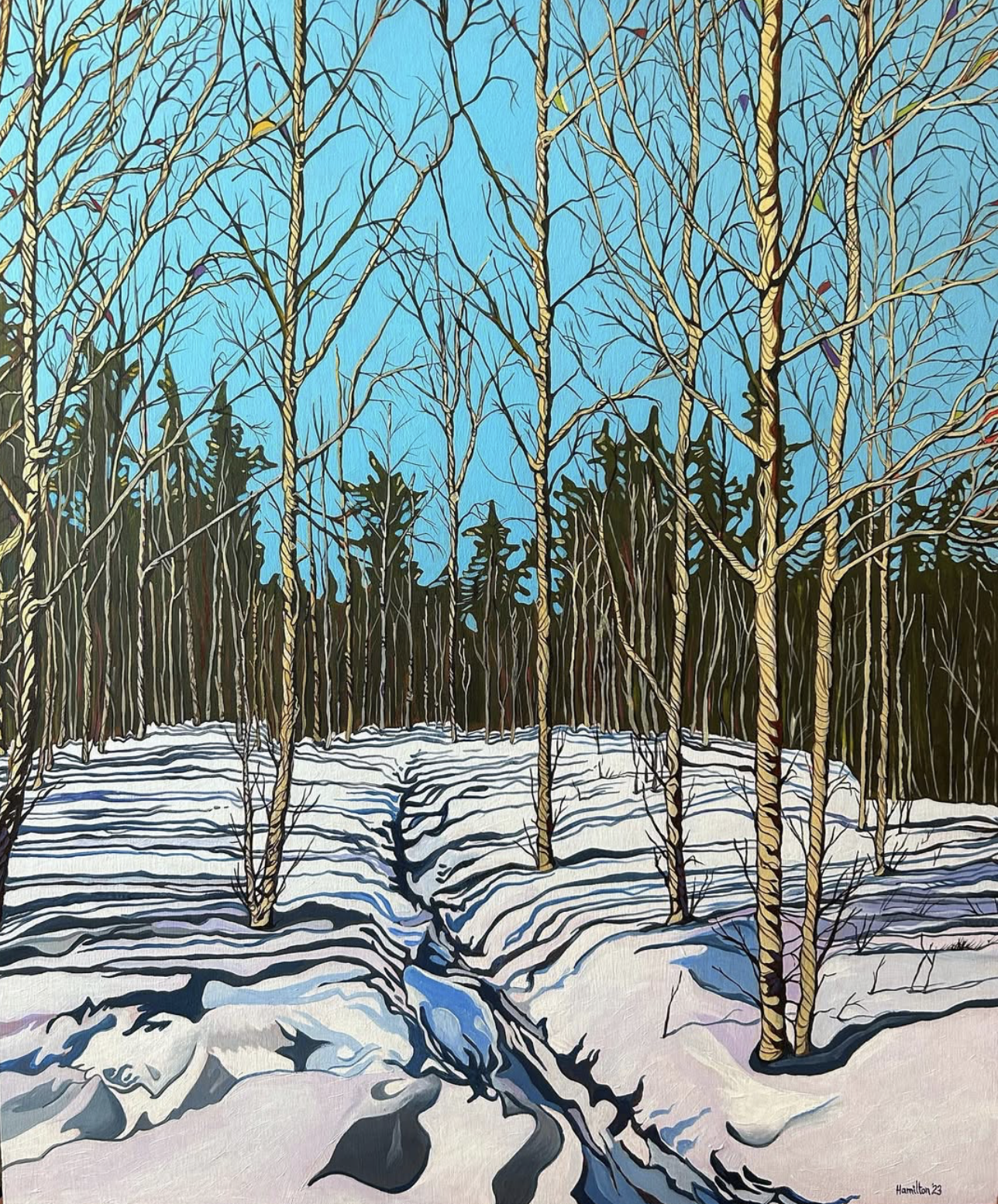 Screenshot 2026-01-20 at 2.42.42 PM.png