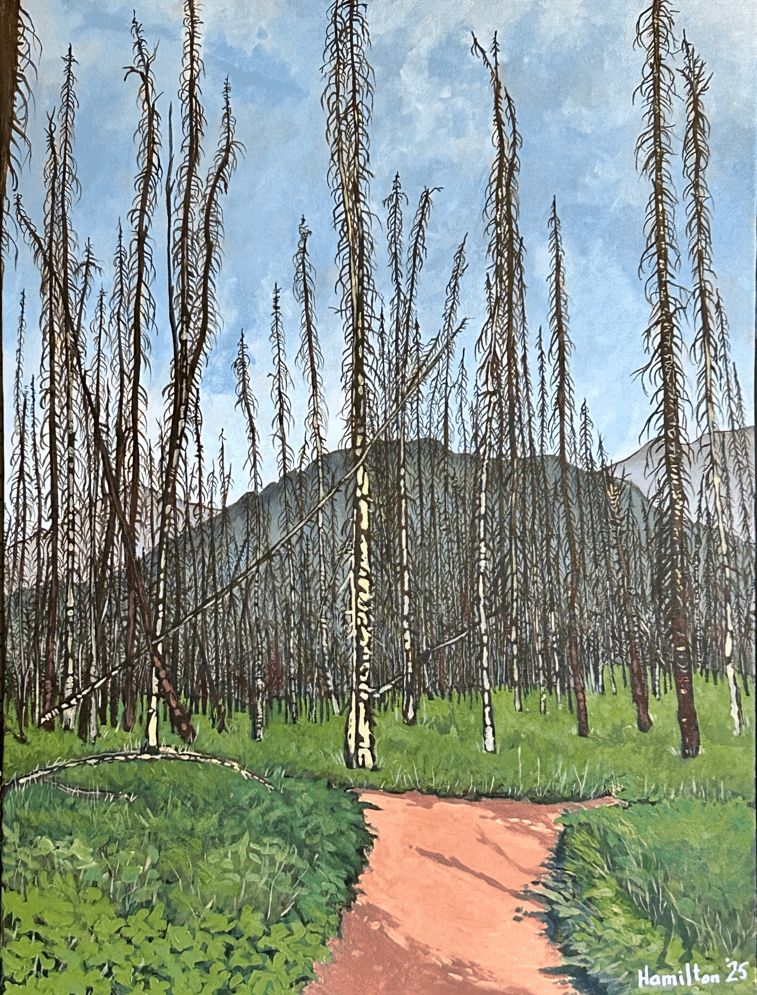Waterton Resurrected, 18" x 24"