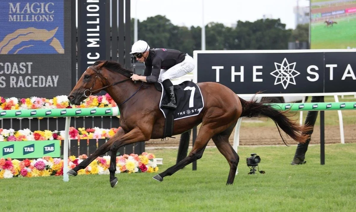 ANOTHER FEATURE 2YO WINNER!