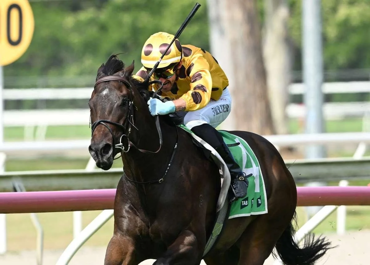 Il Fratello Impresses On Debut